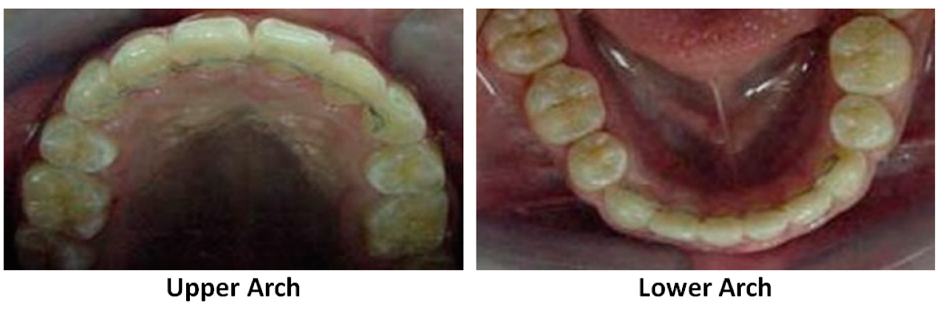 Polymers 13 01409 g002