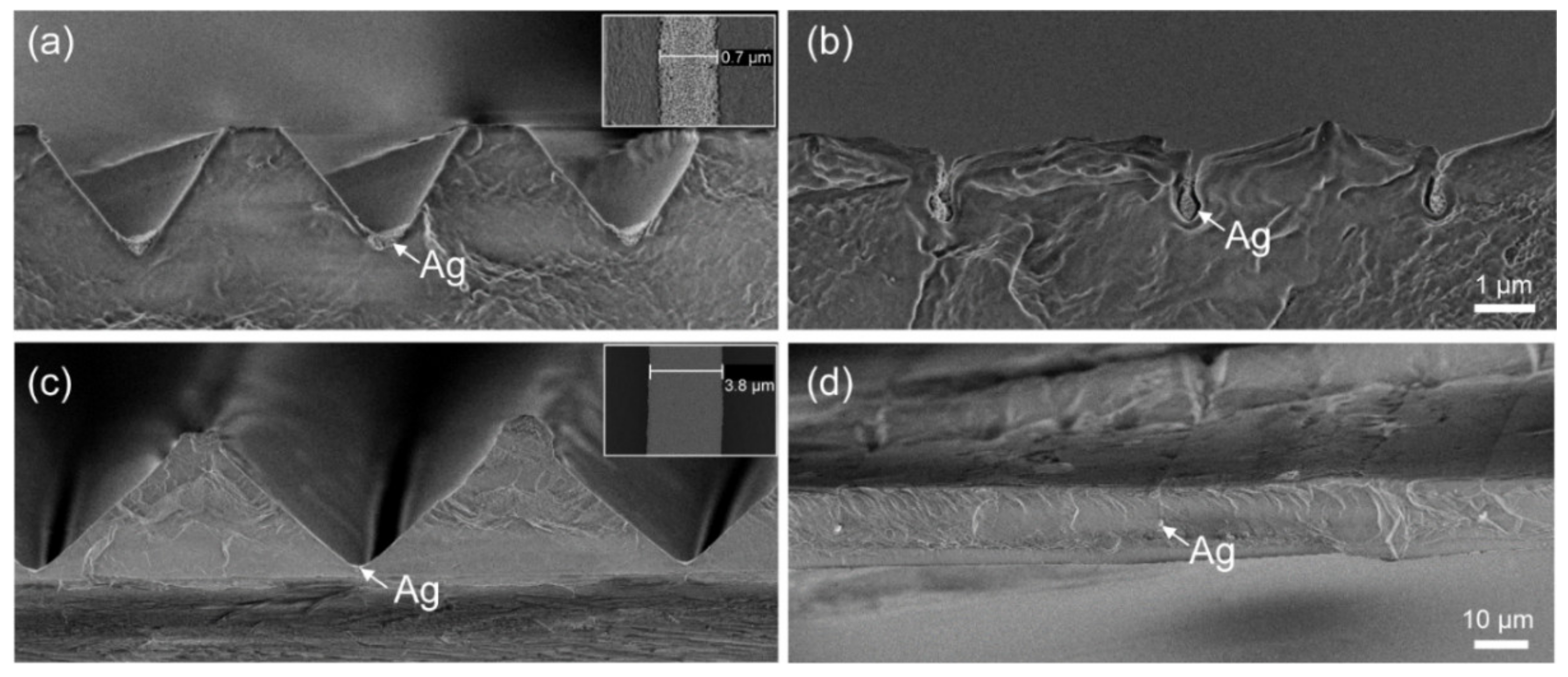 Polymers 13 01410 g004 Polymers 13 01410 g004