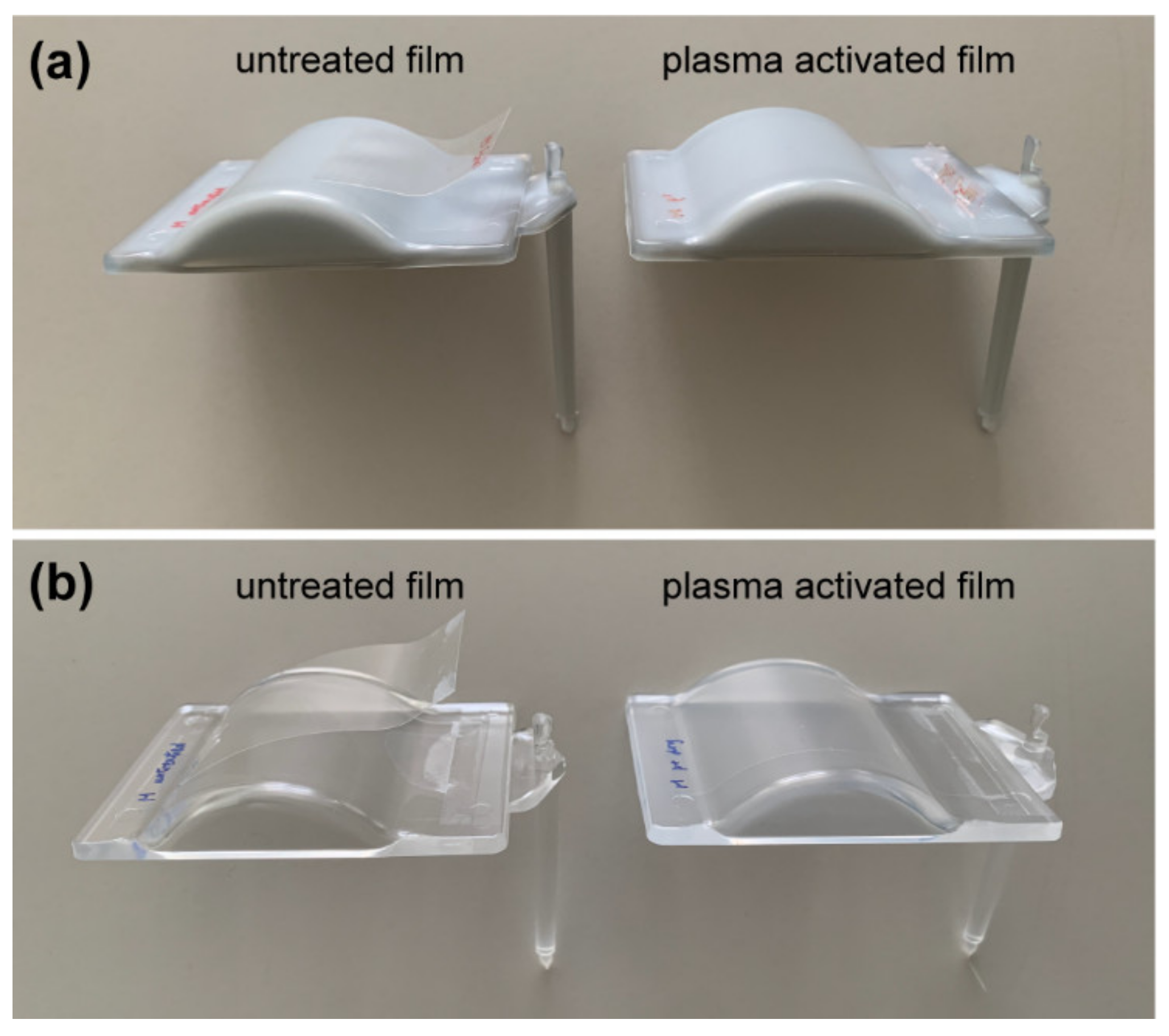 Polymers 13 01410 g006 Polymers 13 01410 g006