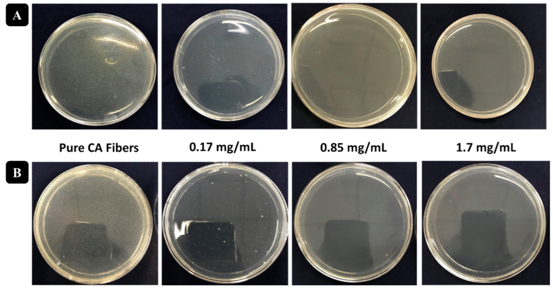 Polymers 13 01411 g007
