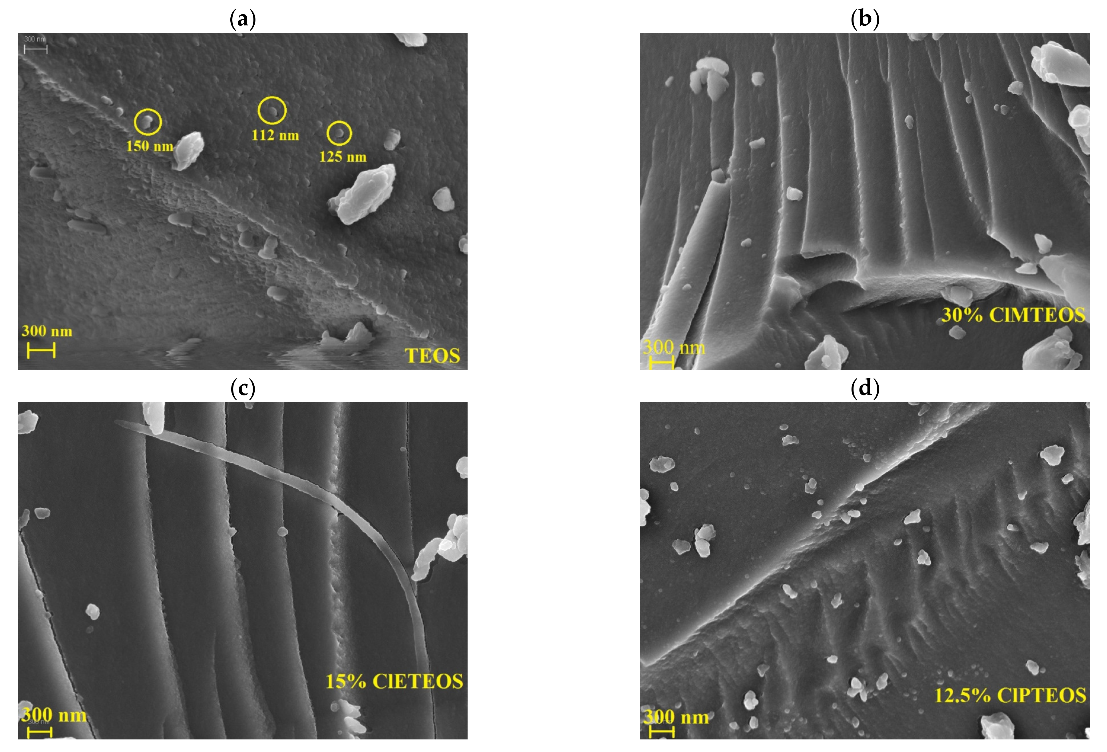 Polymers 13 01415 g008 Polymers 13 01415 g008