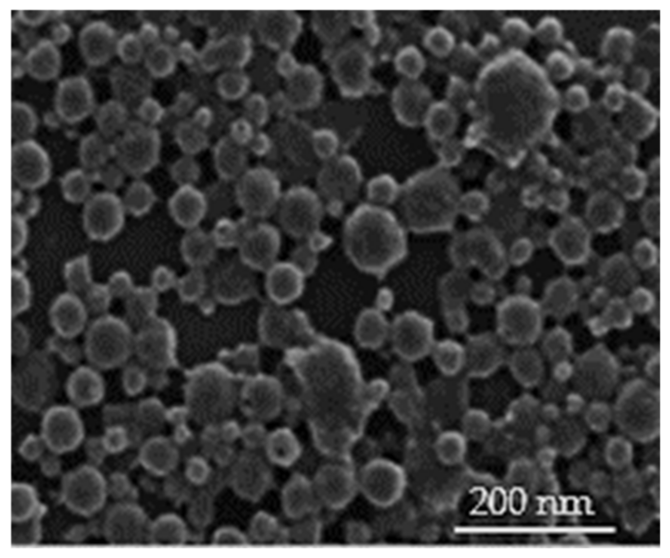 Polymers 13 01416 g001