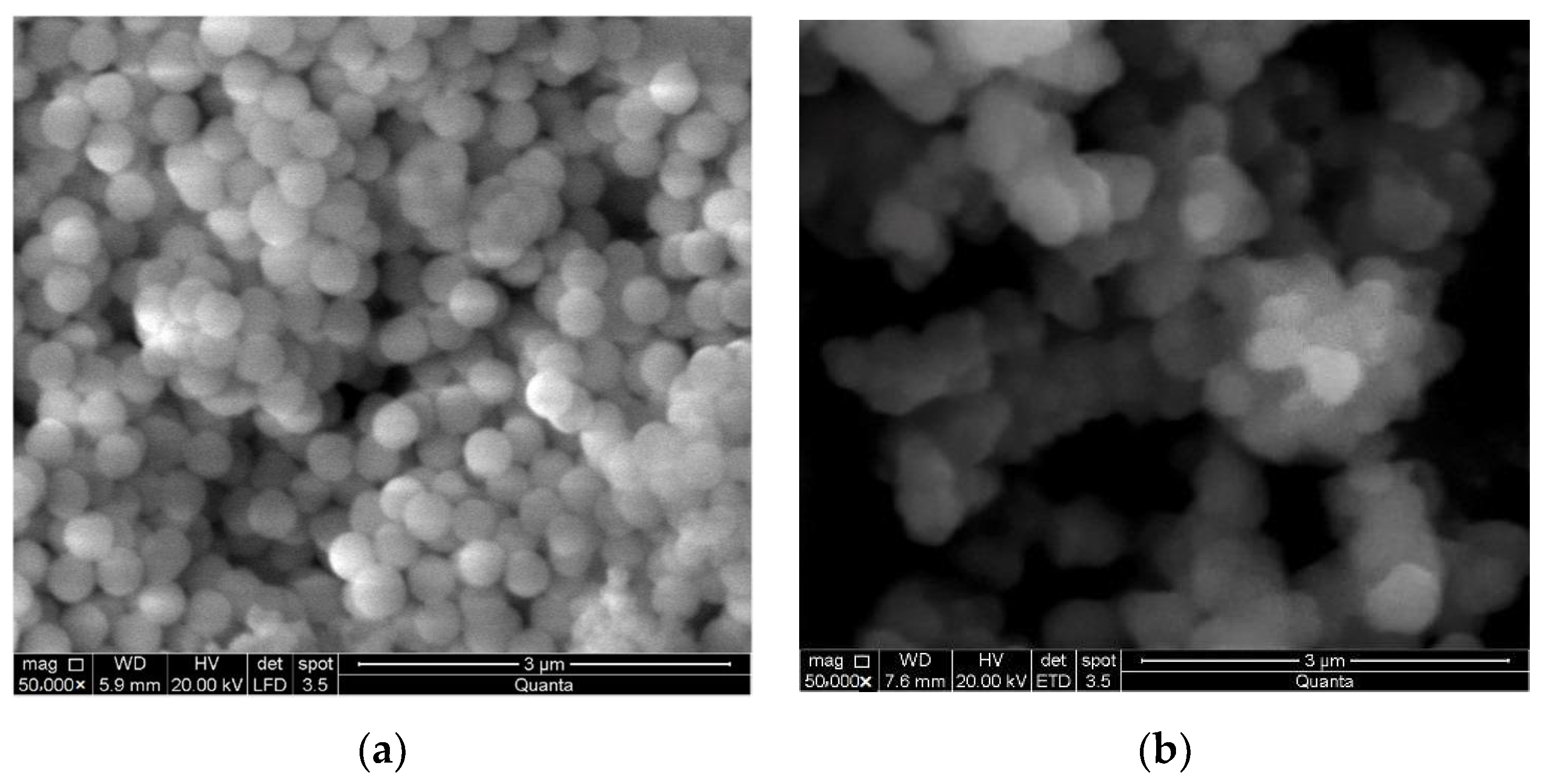 Polymers 13 01418 g009 Polymers 13 01418 g009