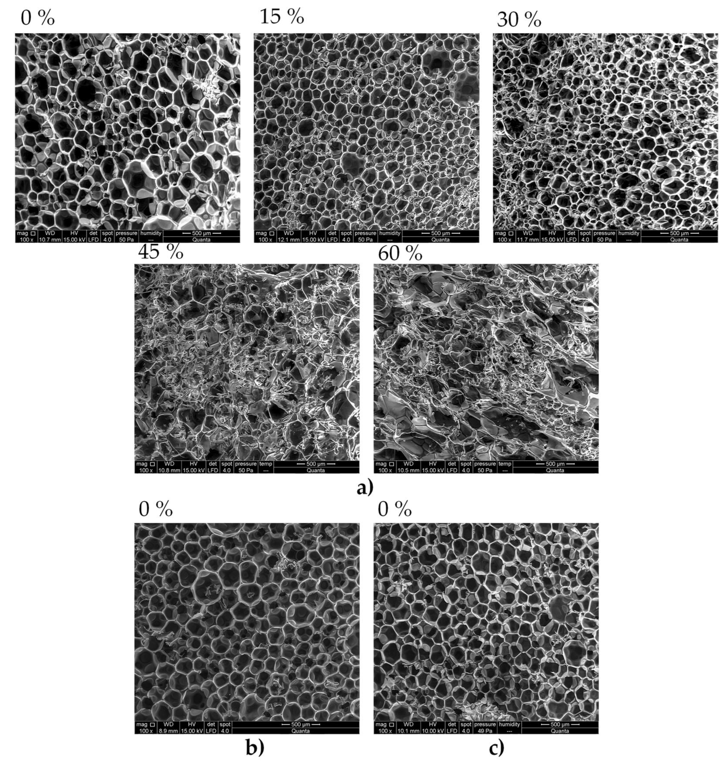 Polymers 13 01418 g011 Polymers 13 01418 g011