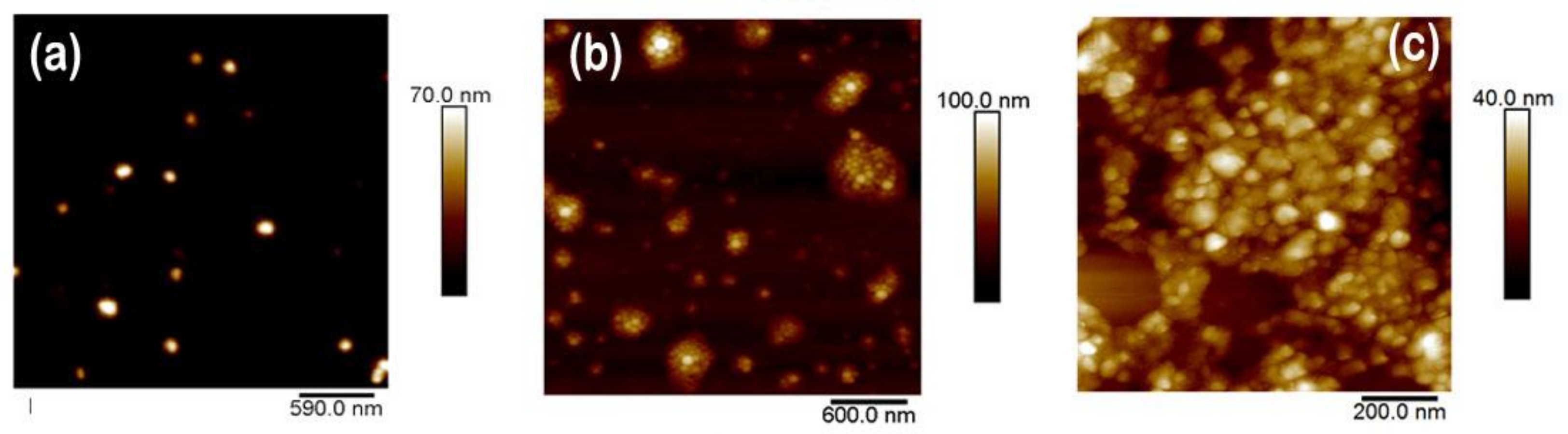 Polymers 13 01419 g005