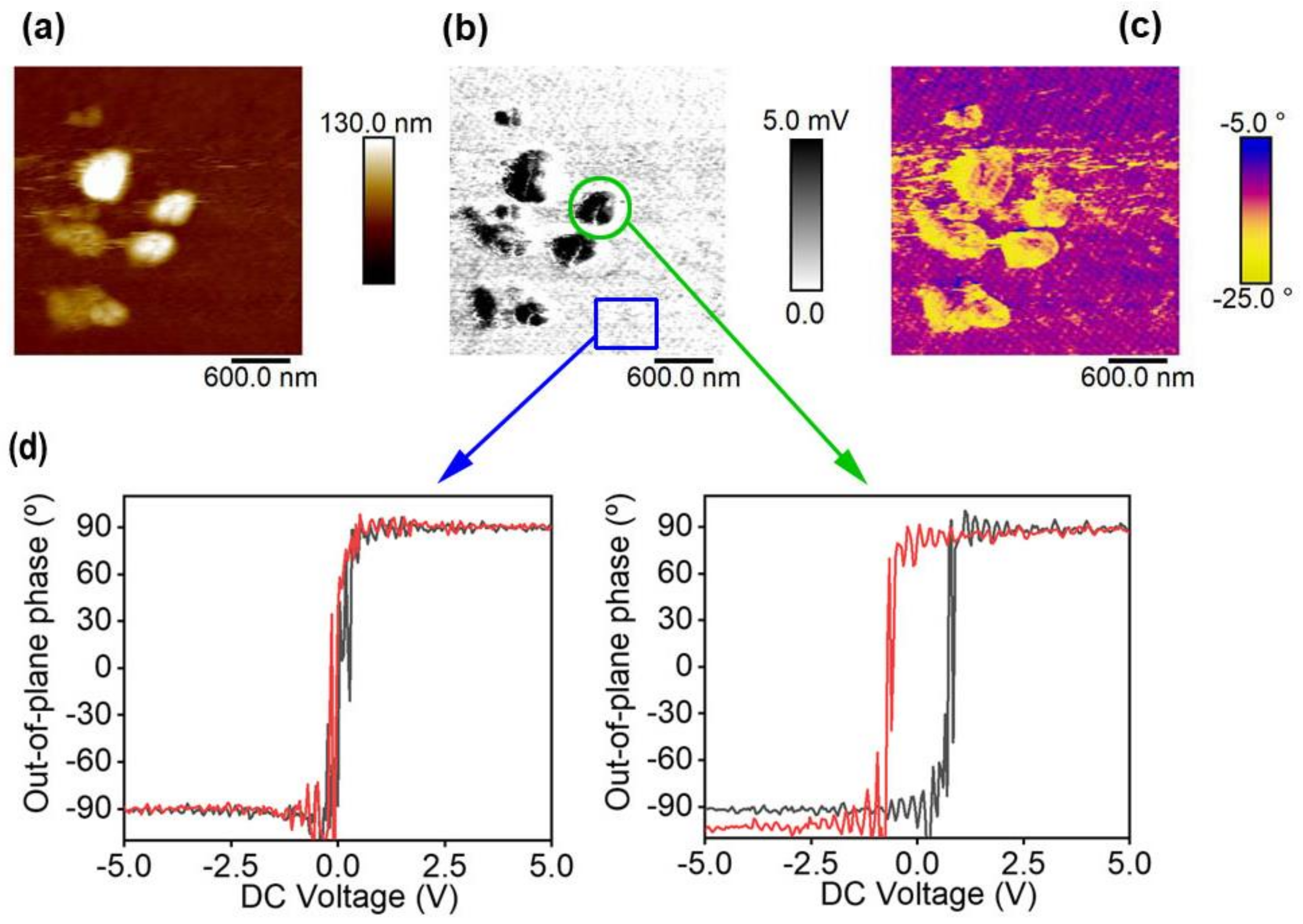 Polymers 13 01419 g008
