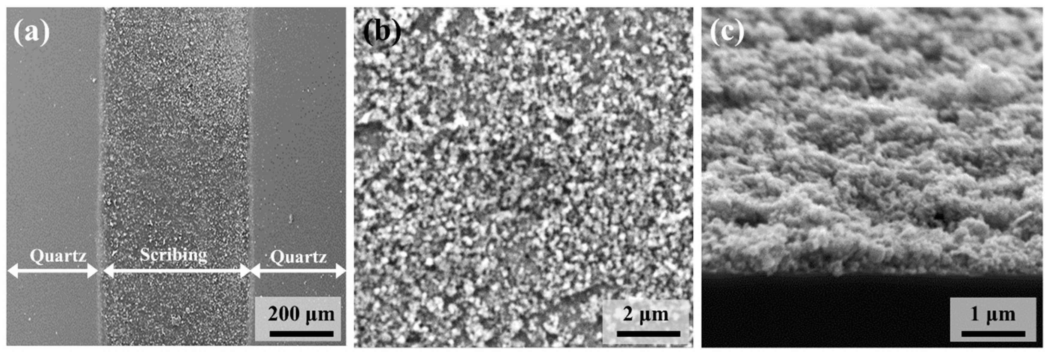Polymers 13 01423 g007