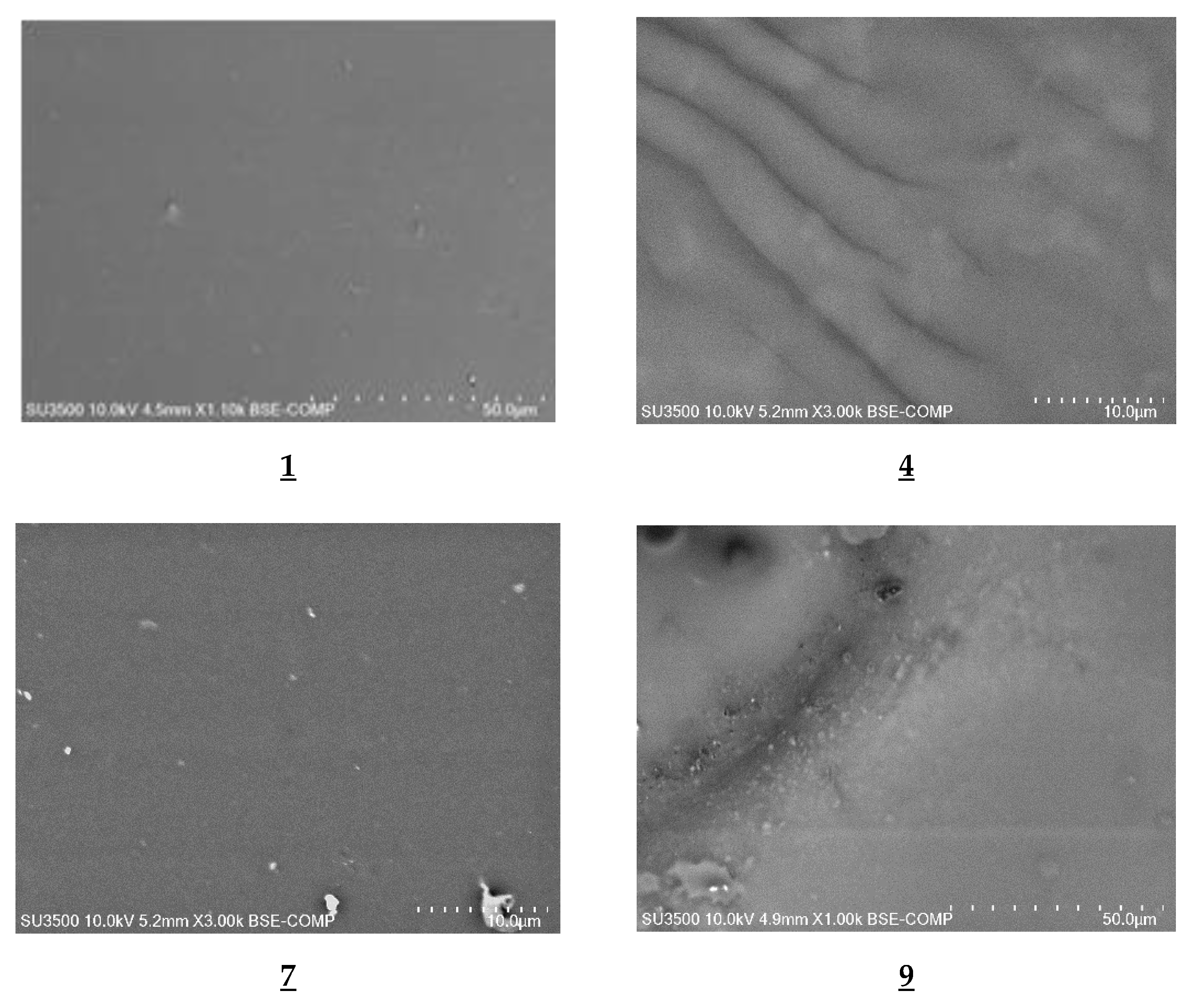 Polymers 13 01424 g003 Polymers 13 01424 g003