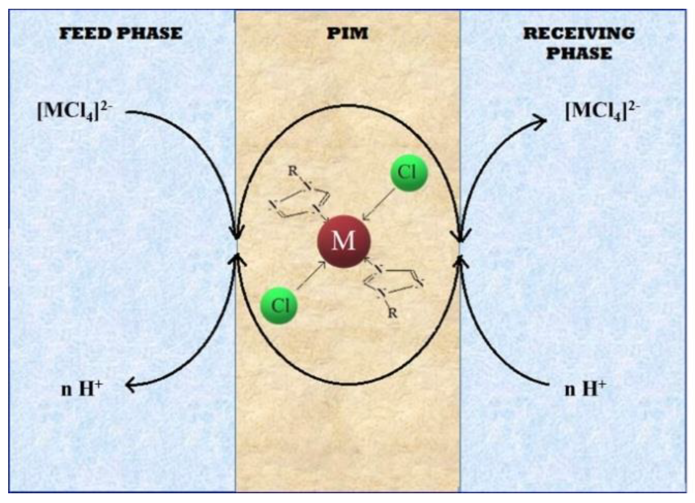Polymers 13 01424 g004 Polymers 13 01424 g004