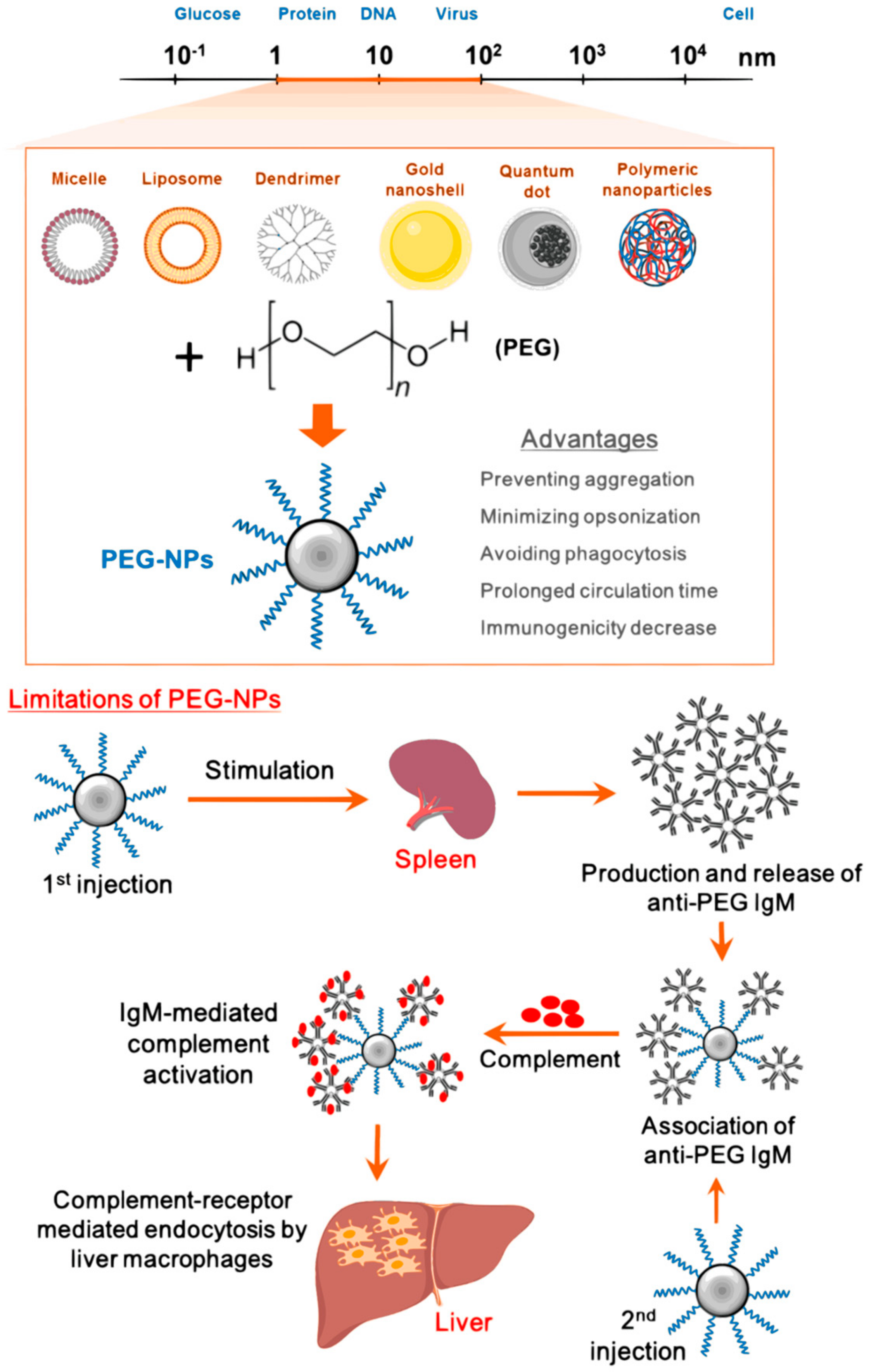 Polymers 13 01431 g002 Polymers 13 01431 g002
