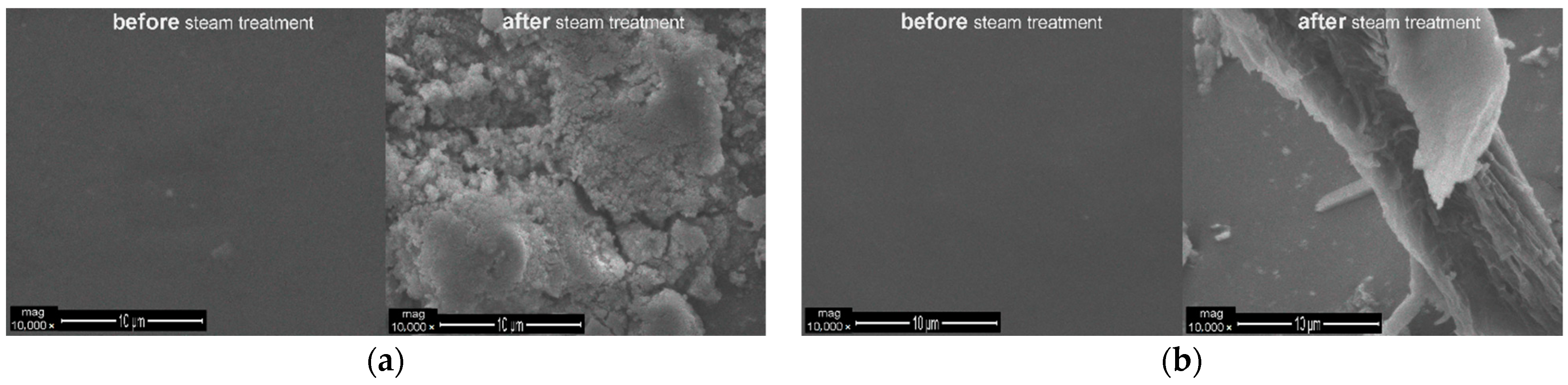 Polymers 13 01432 g012