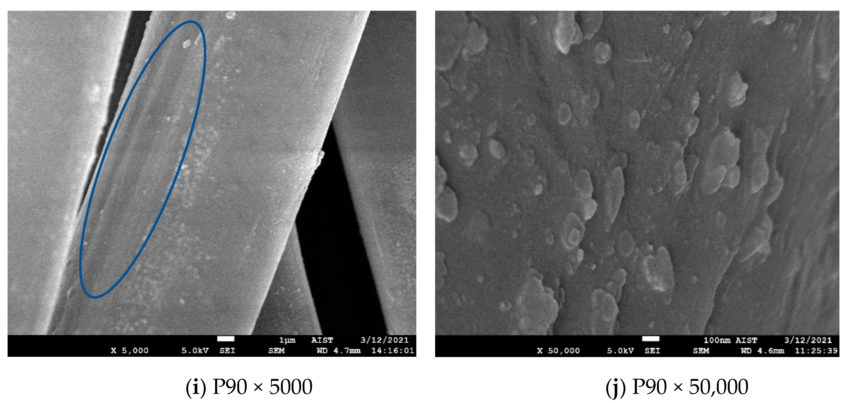 Polymers 13 01434 g002c