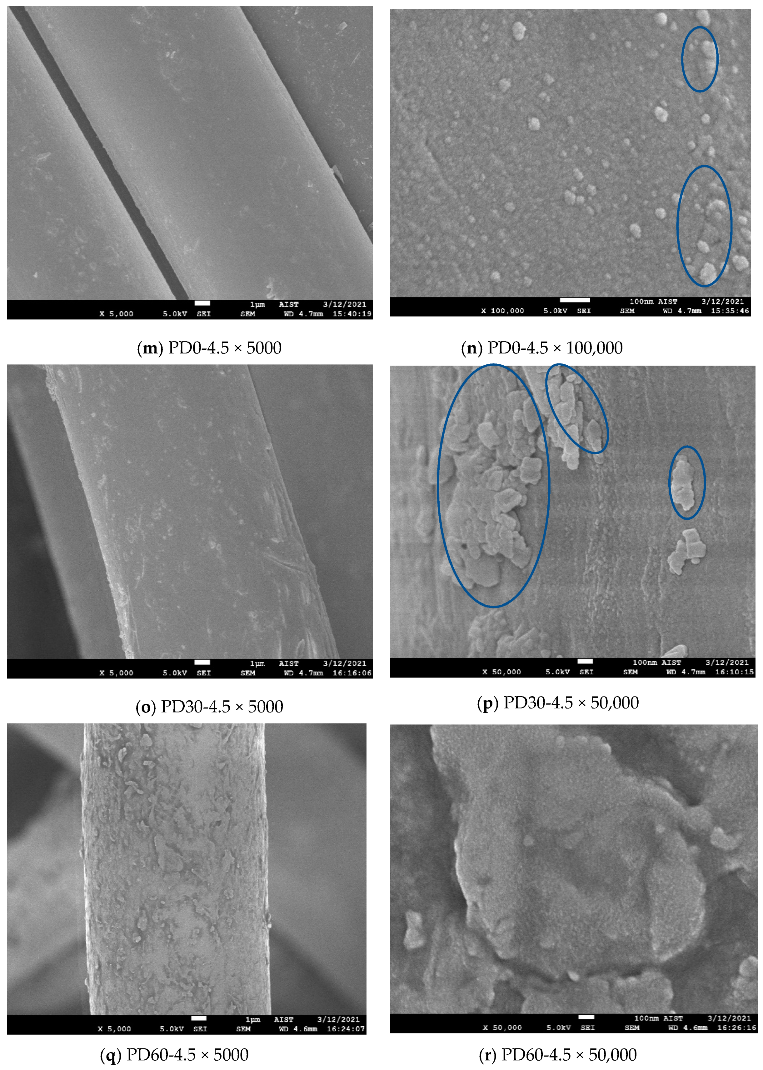 Polymers 13 01434 g006c