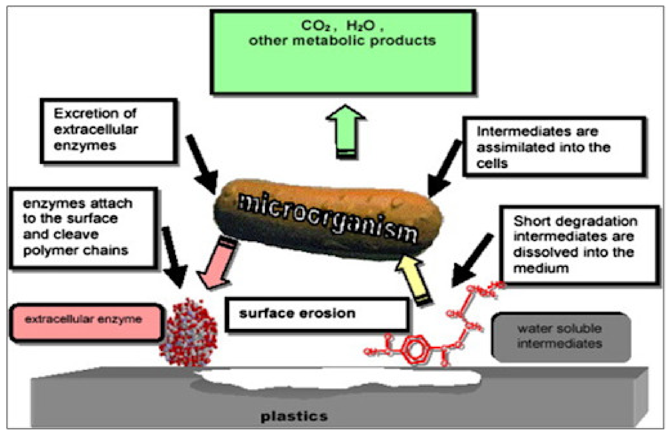 Polymers 13 01436 g016 Polymers 13 01436 g016