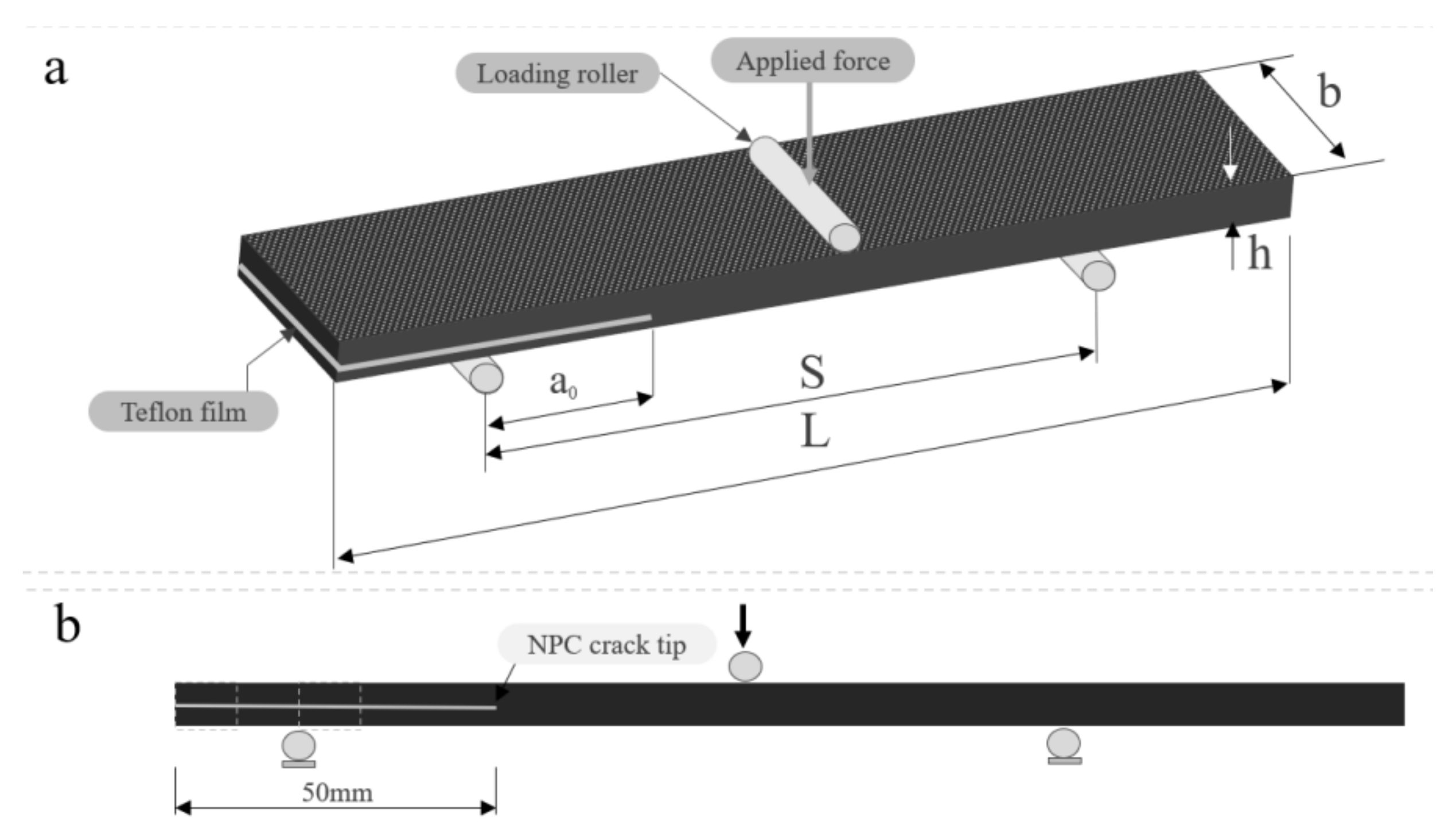 Polymers 13 01437 g005 Polymers 13 01437 g005