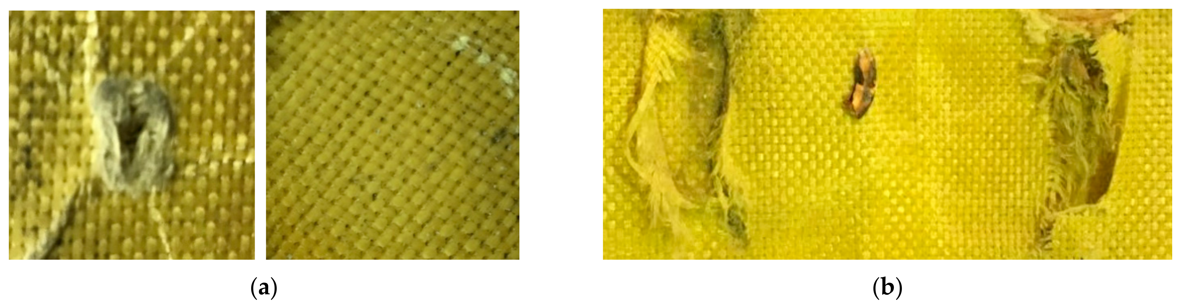 Polymers 13 01450 g005a Polymers 13 01450 g005a