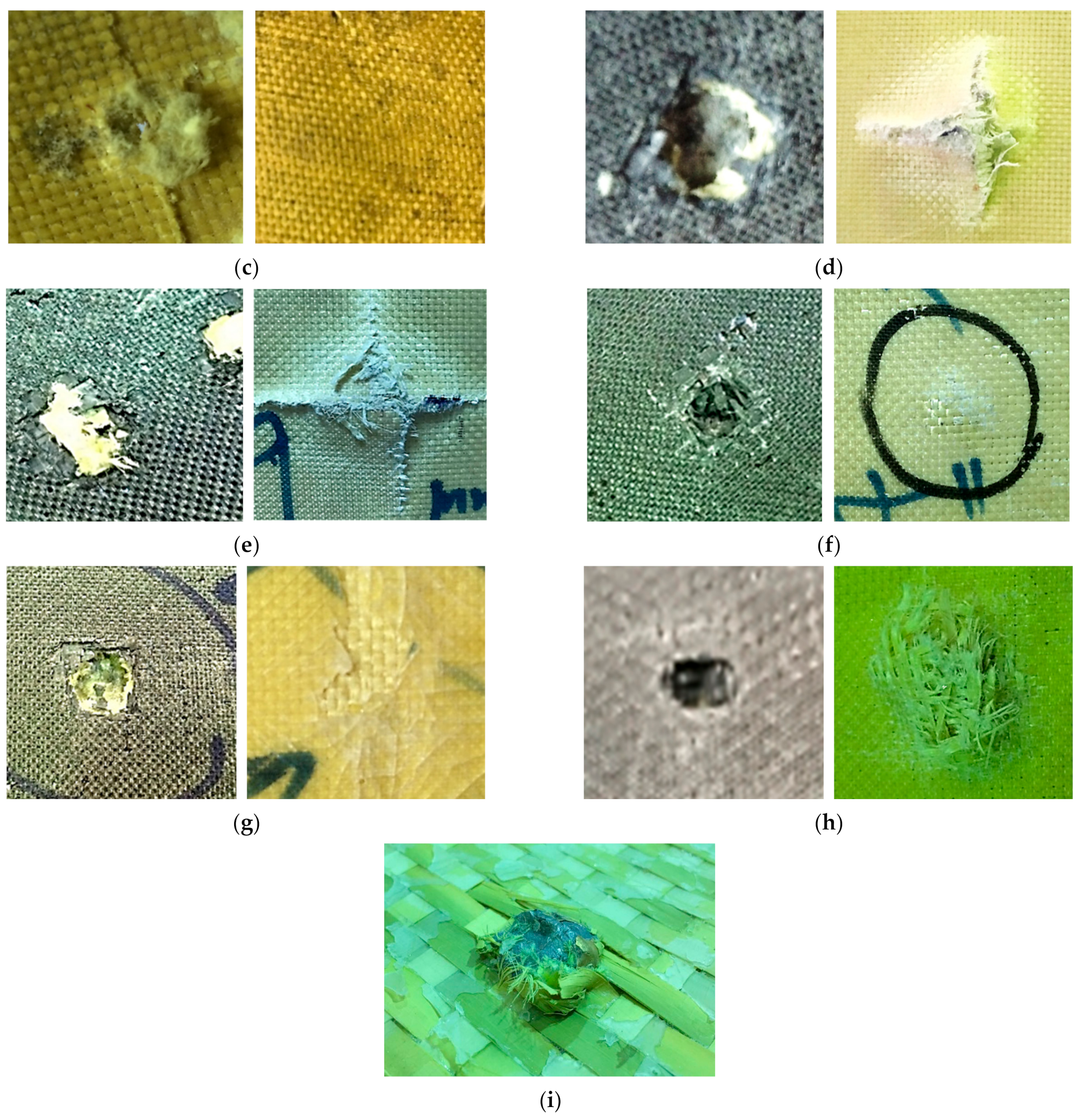 Polymers 13 01450 g005b Polymers 13 01450 g005b