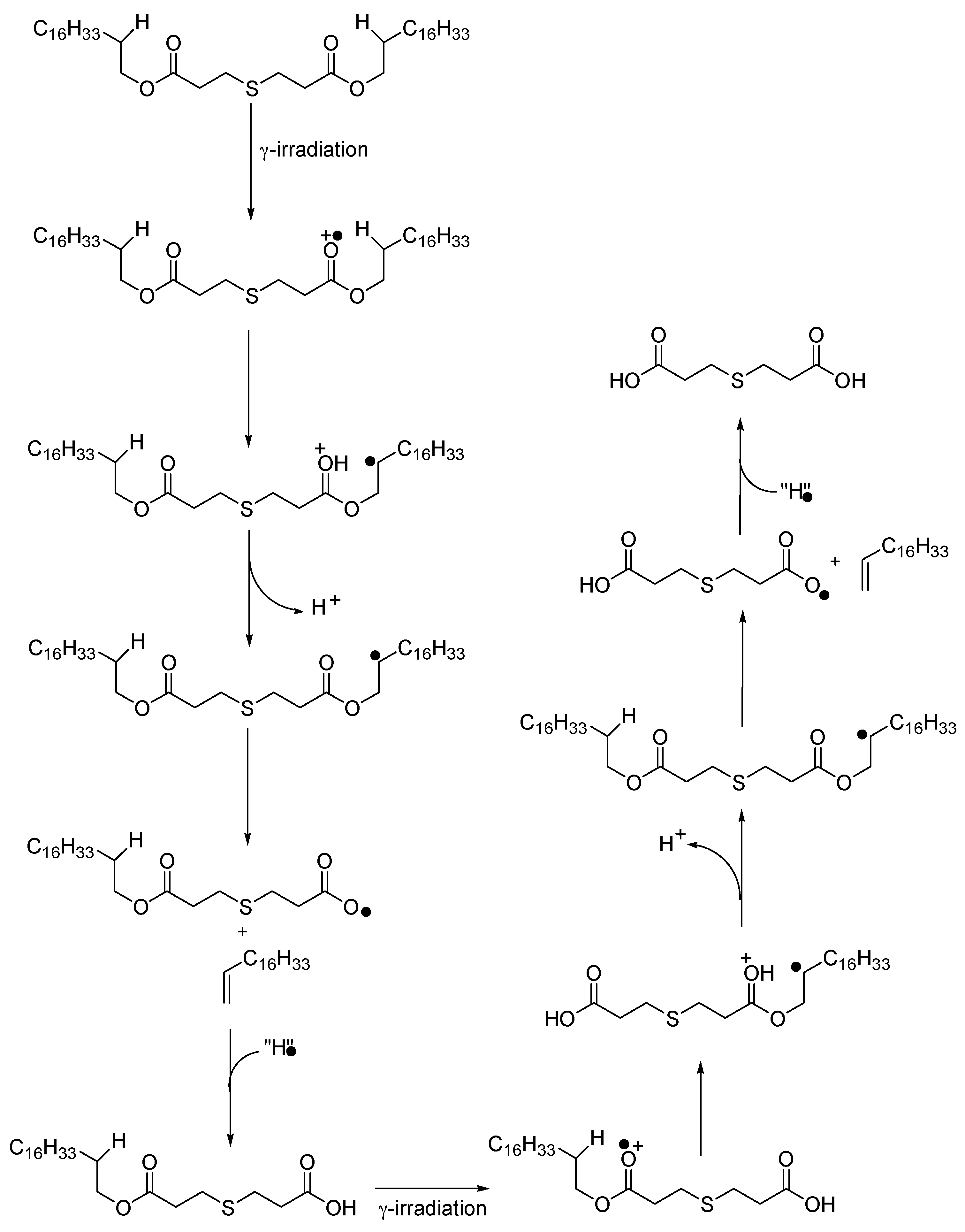 Polymers 13 01451 g007