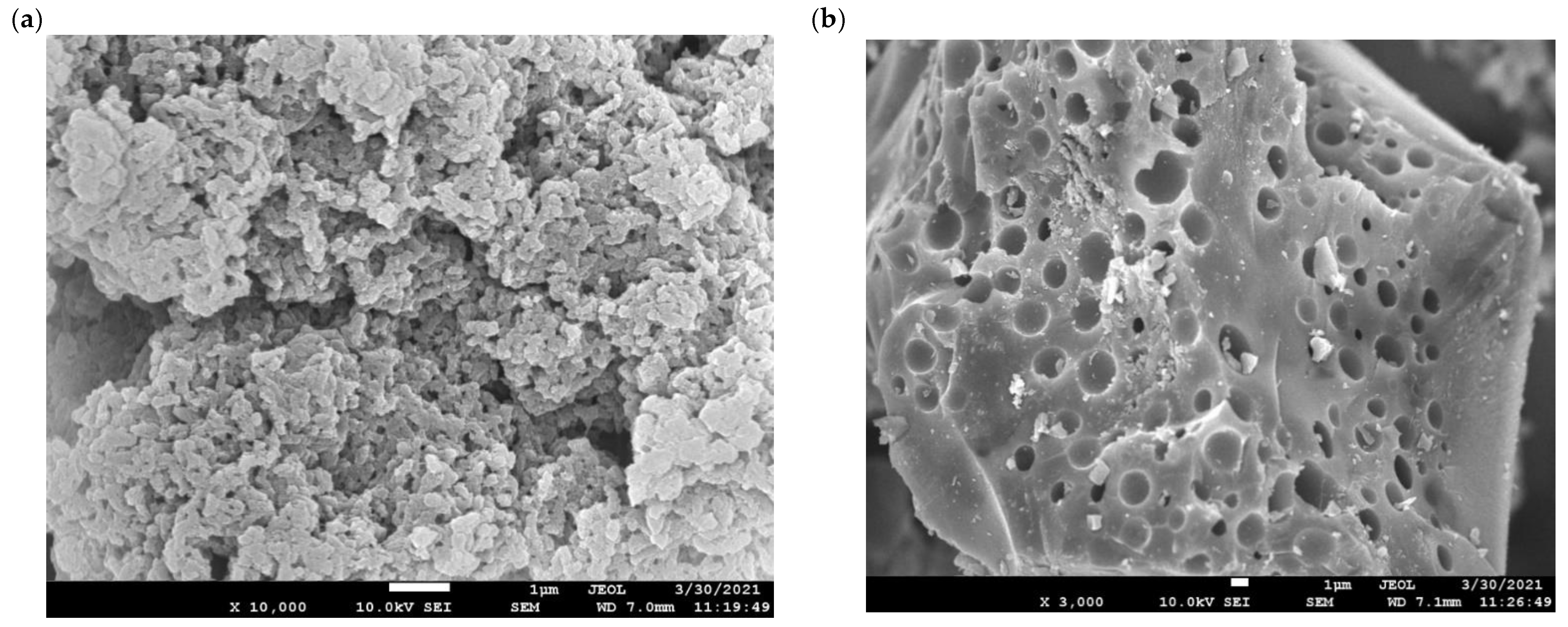 Polymers 13 01457 g003a