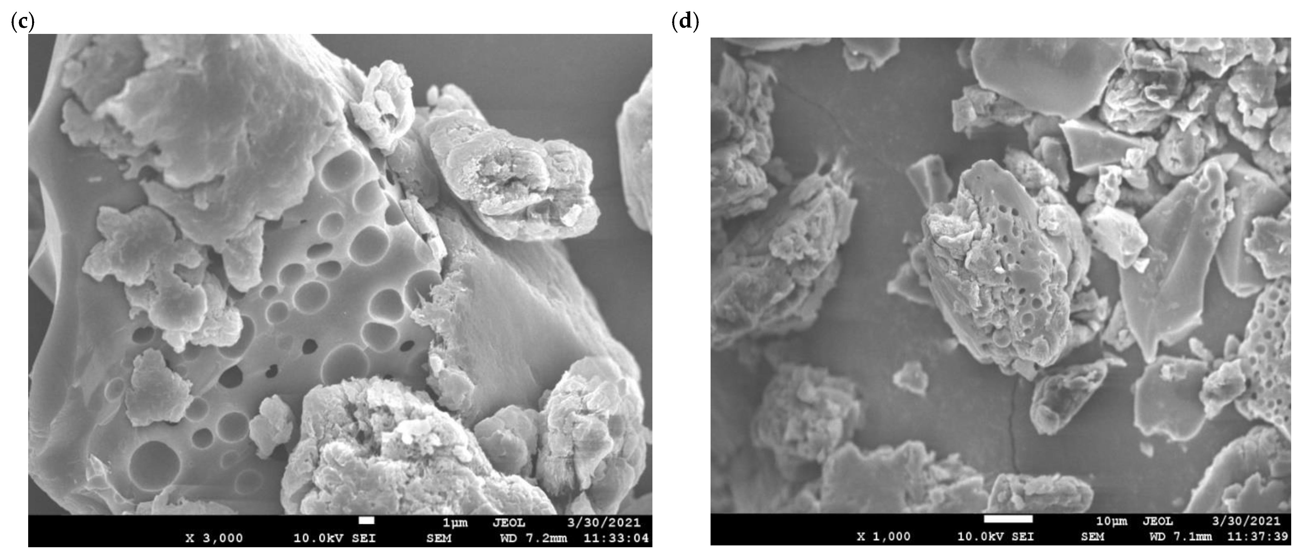 Polymers 13 01457 g003b