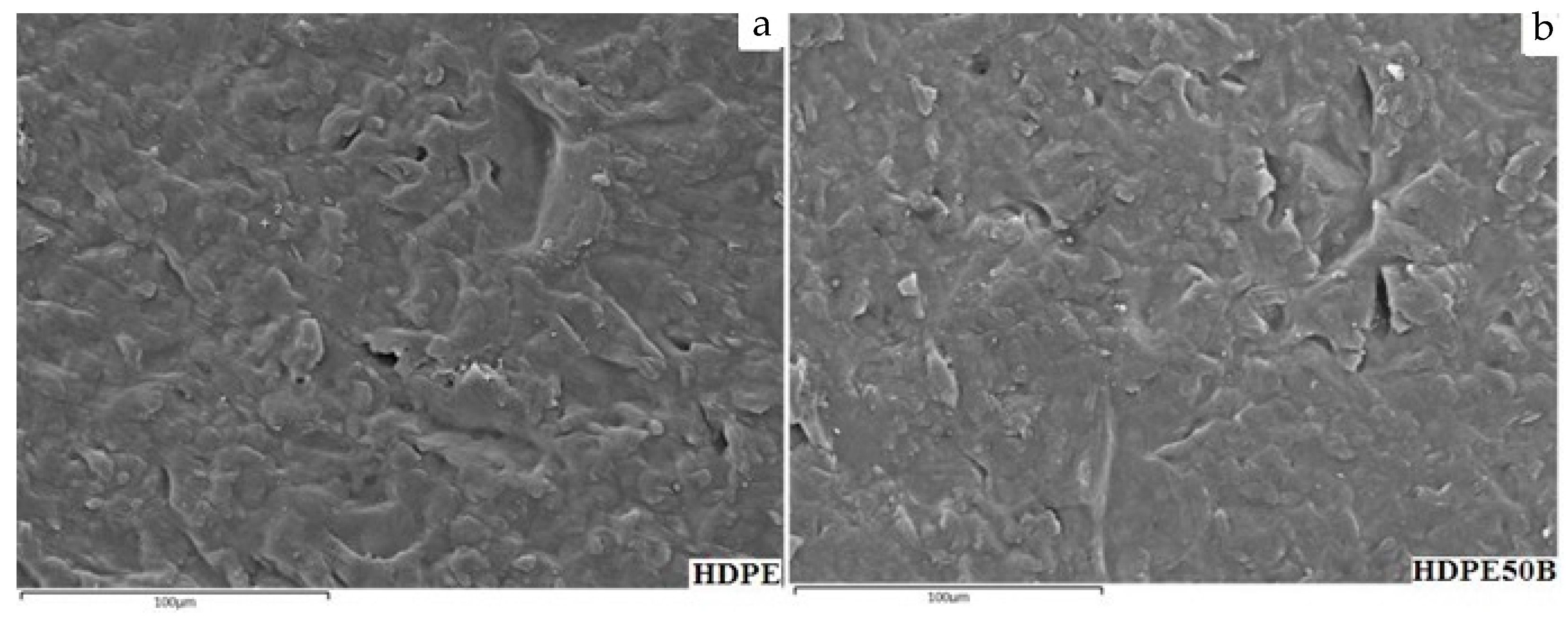Polymers 13 01459 g004 Polymers 13 01459 g004