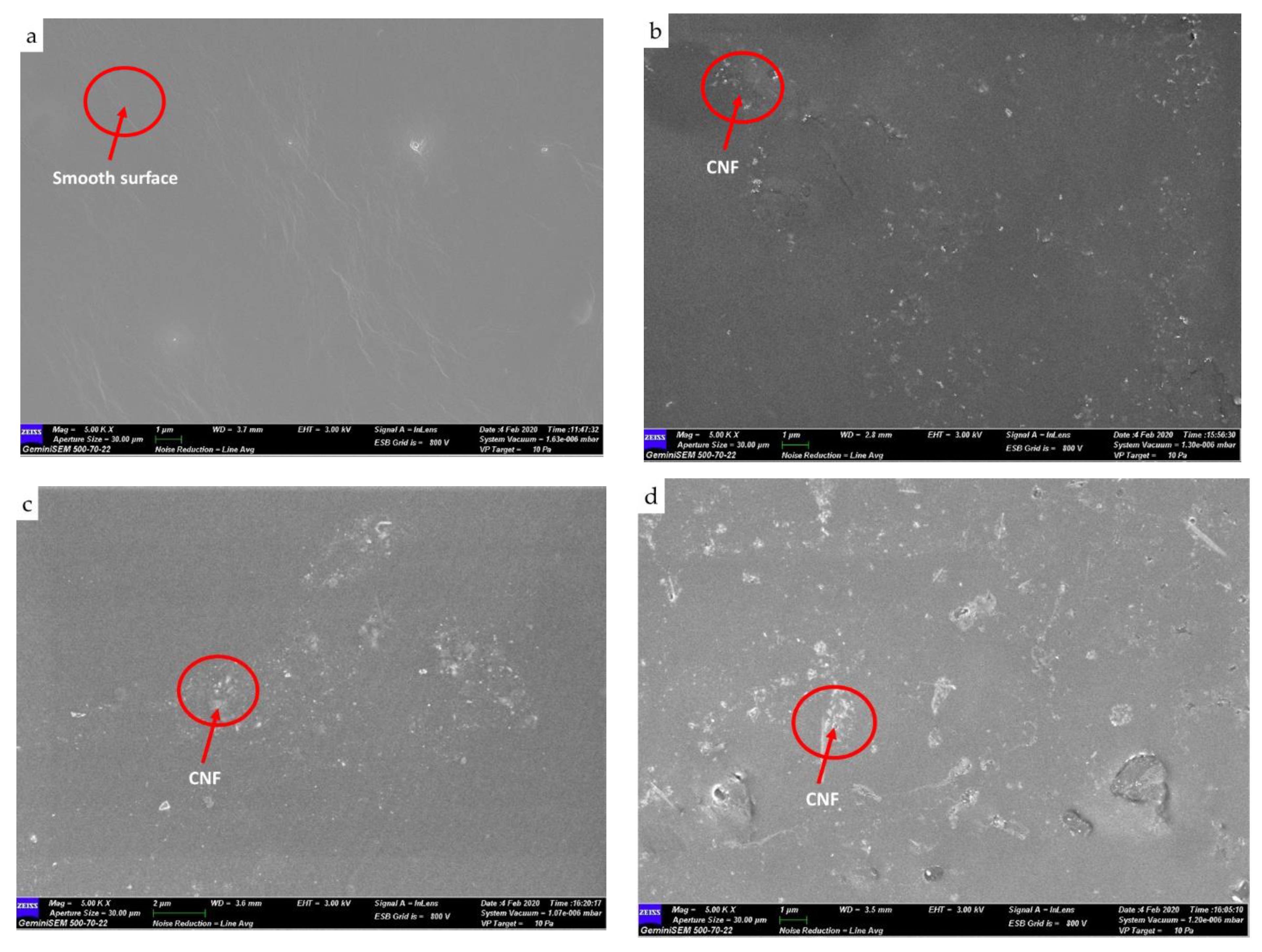 Polymers 13 01460 g003 550