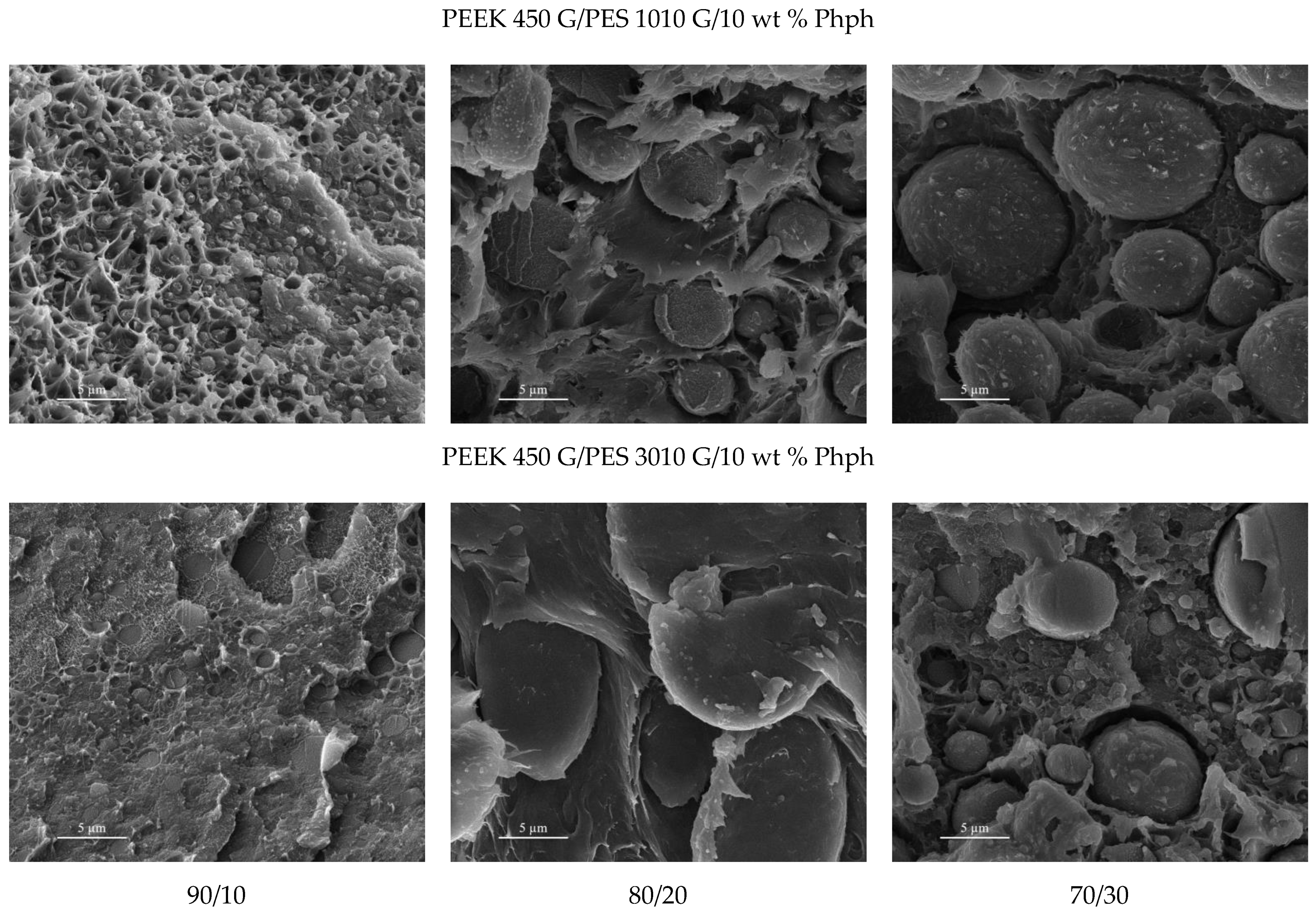 Polymers 13 01466 g014