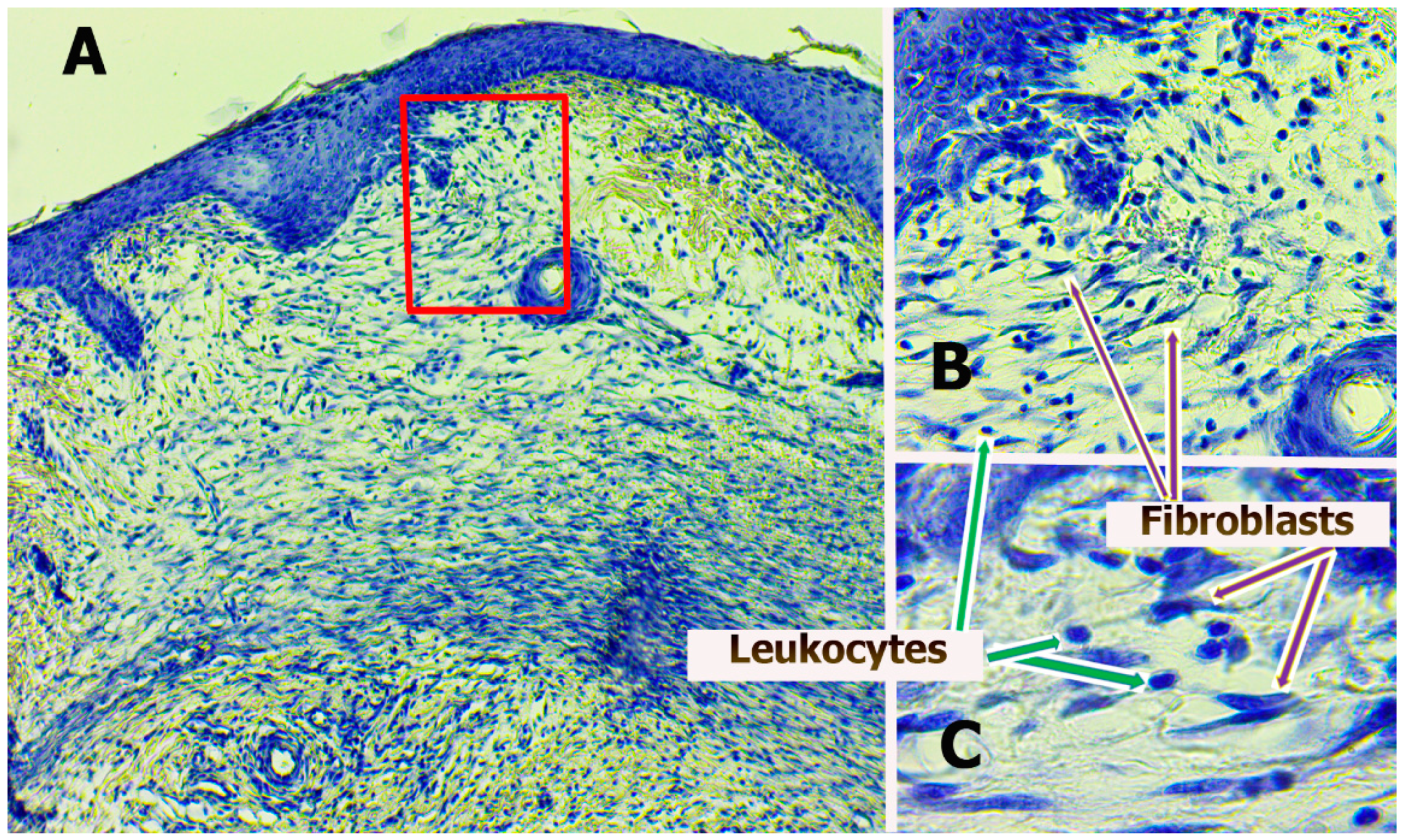 Polymers 13 01467 g001 Polymers 13 01467 g001