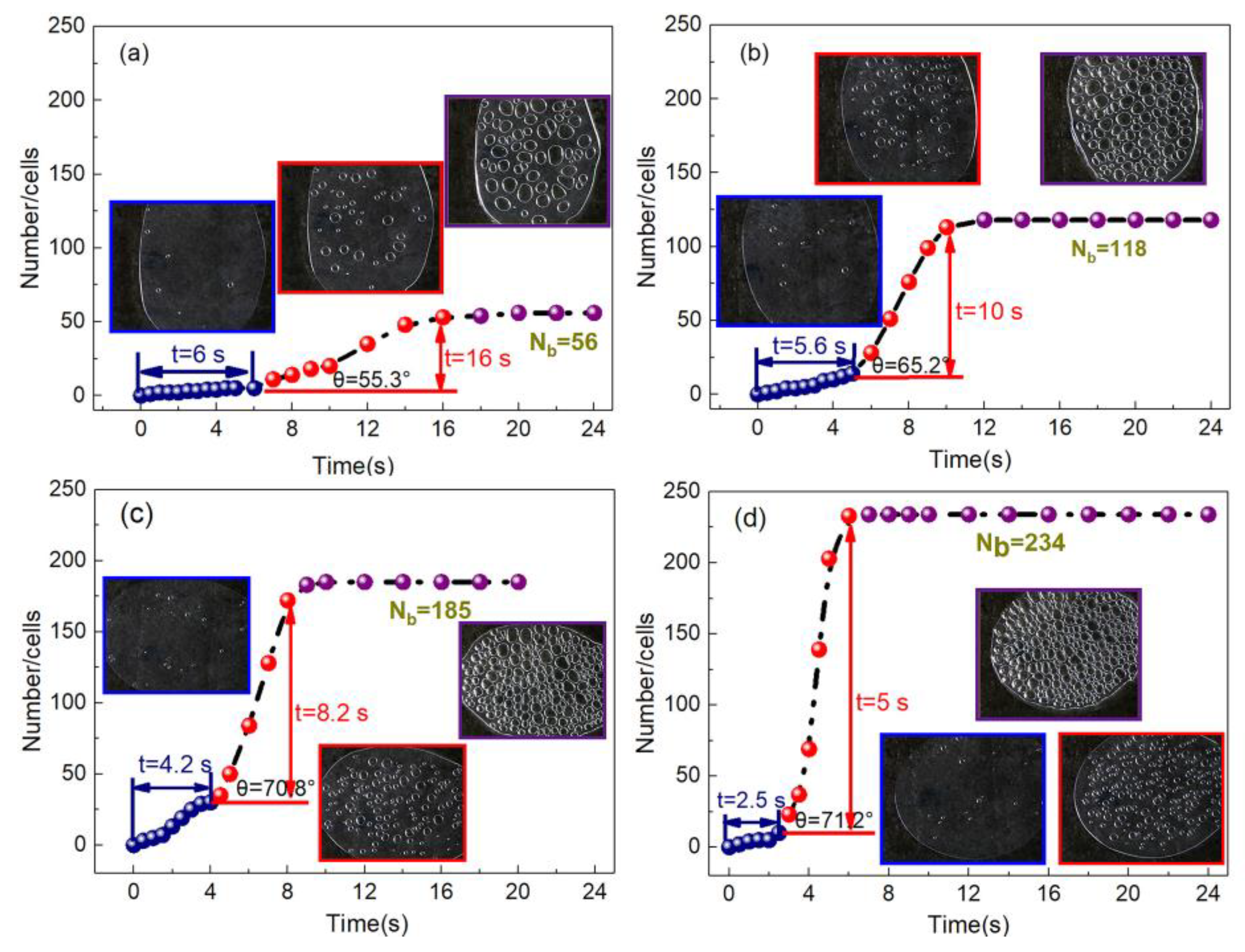 Polymers 13 01468 g004 Polymers 13 01468 g004
