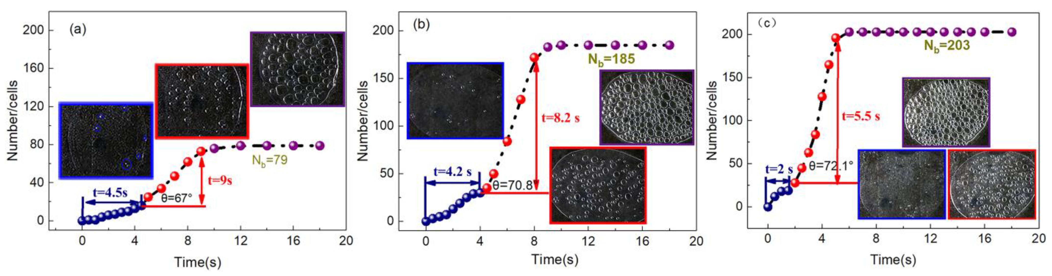 Polymers 13 01468 g007 Polymers 13 01468 g007