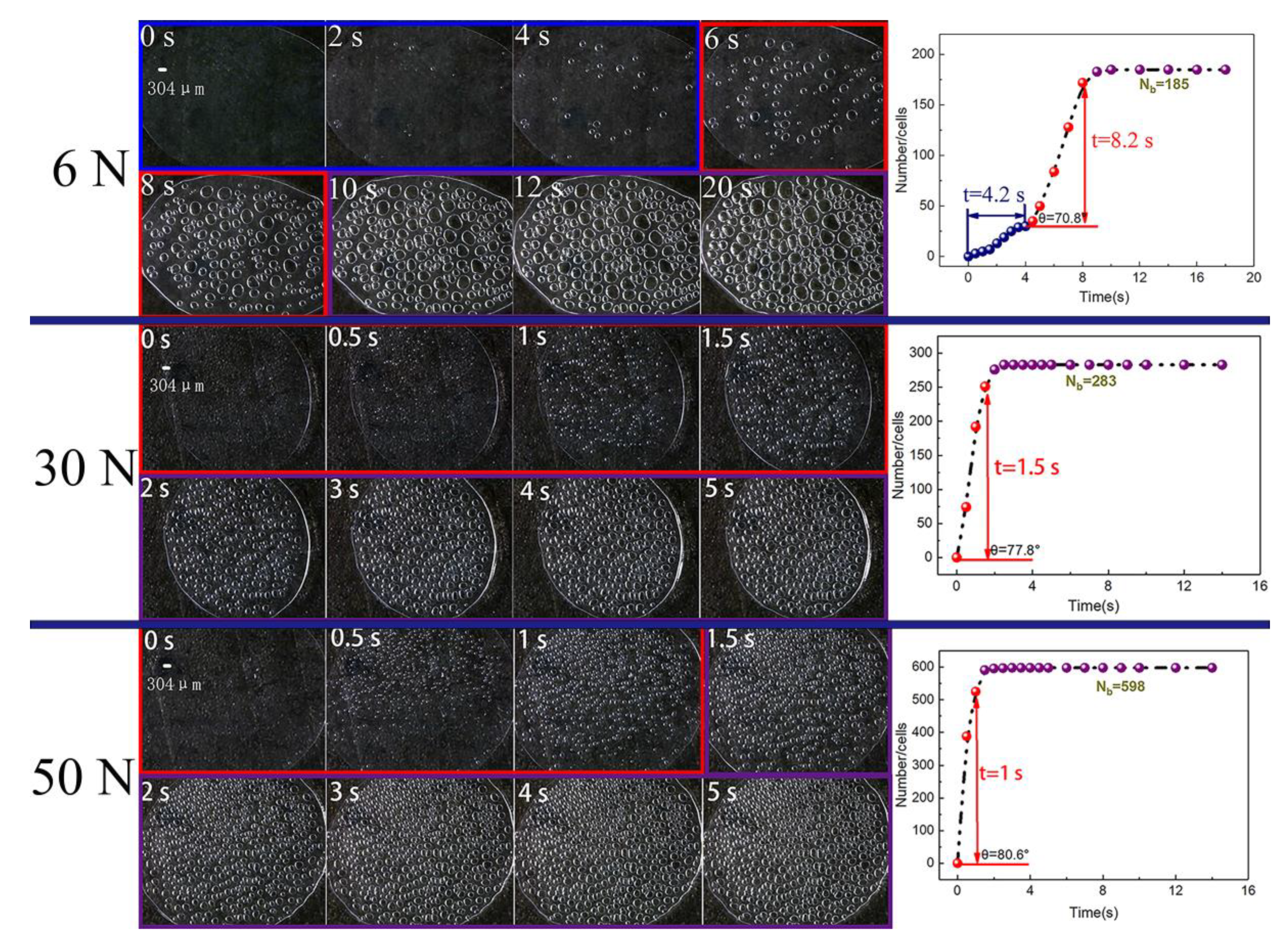 Polymers 13 01468 g009 Polymers 13 01468 g009