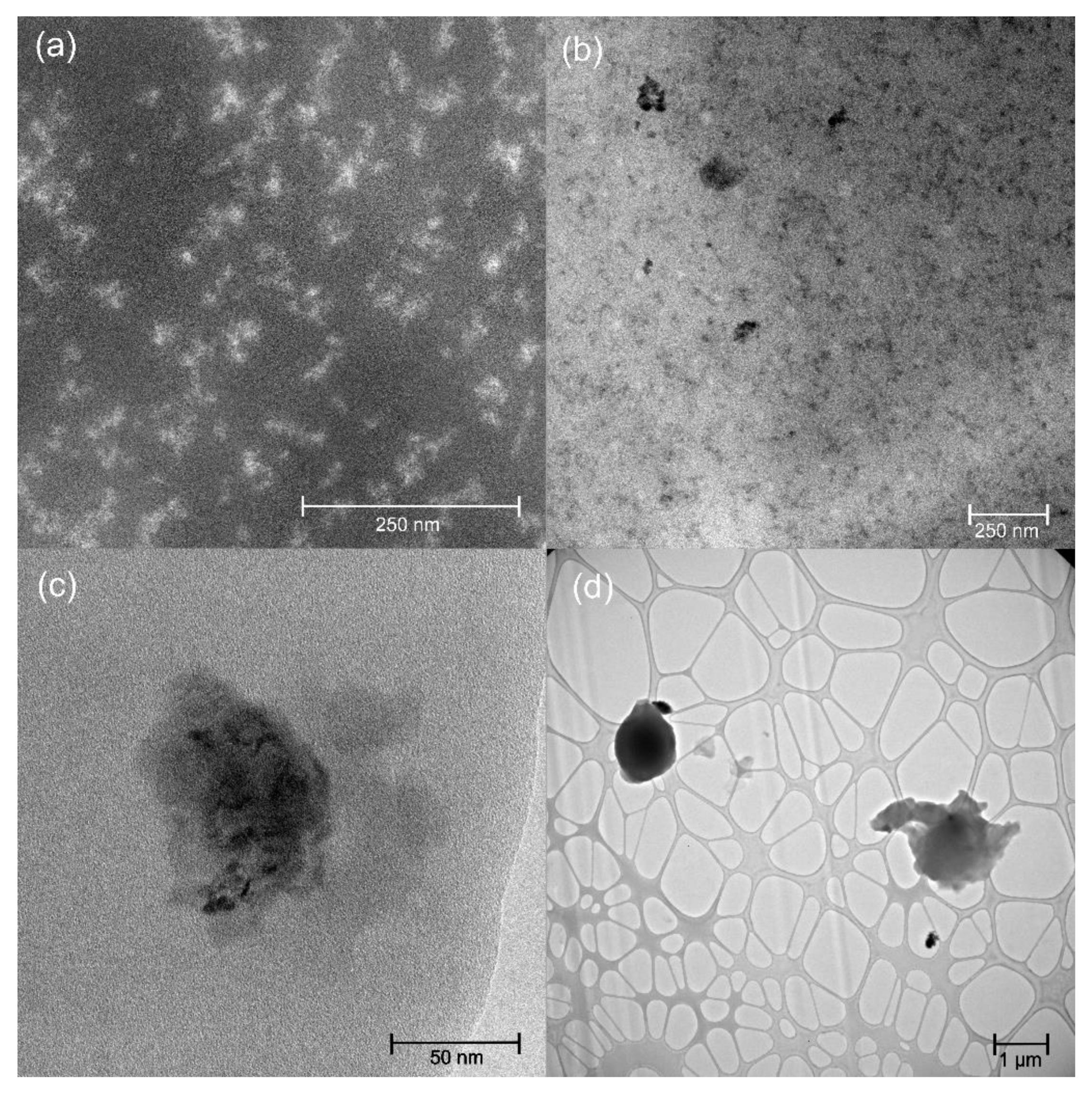 Polymers 13 01469 g002