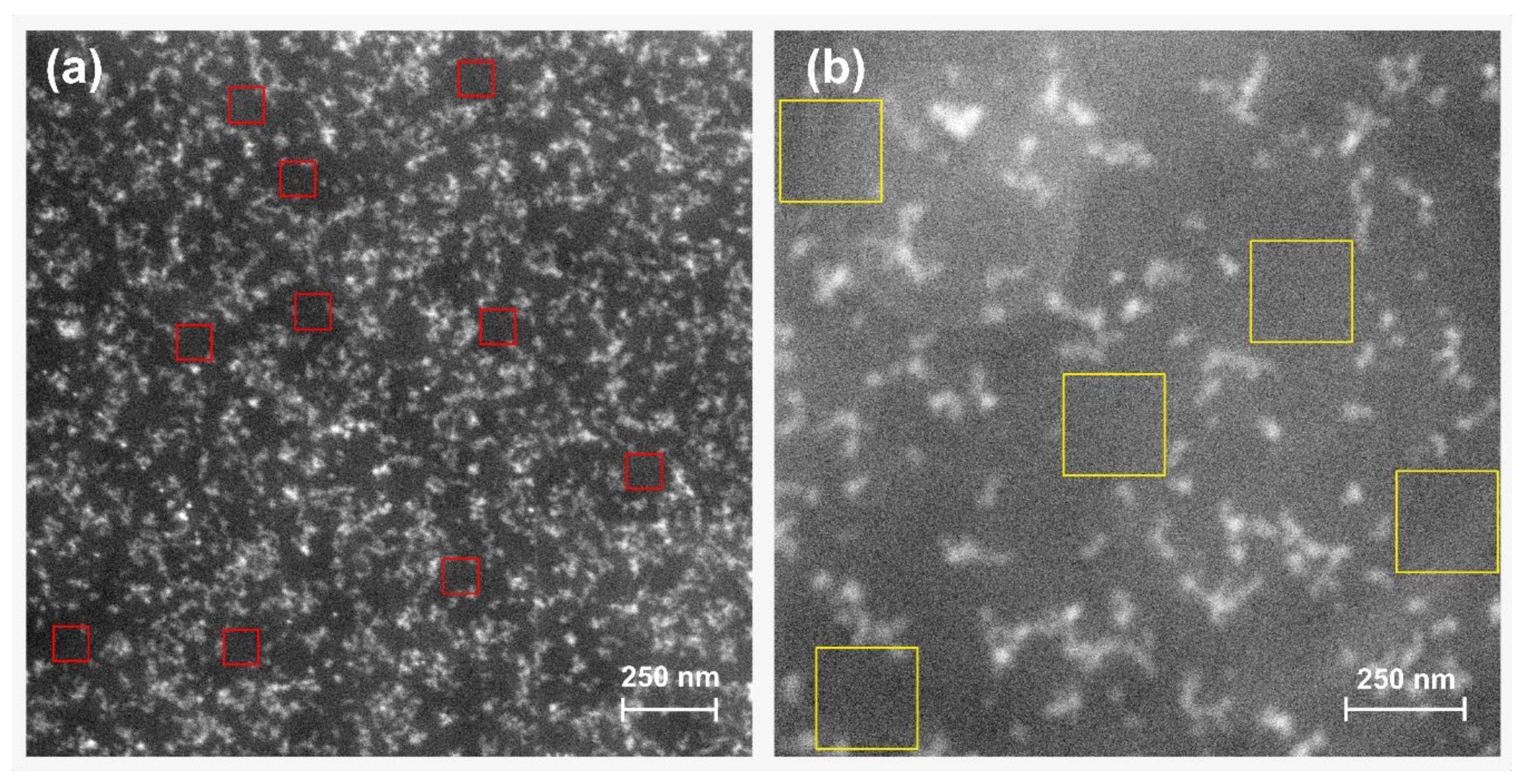 Polymers 13 01469 g012