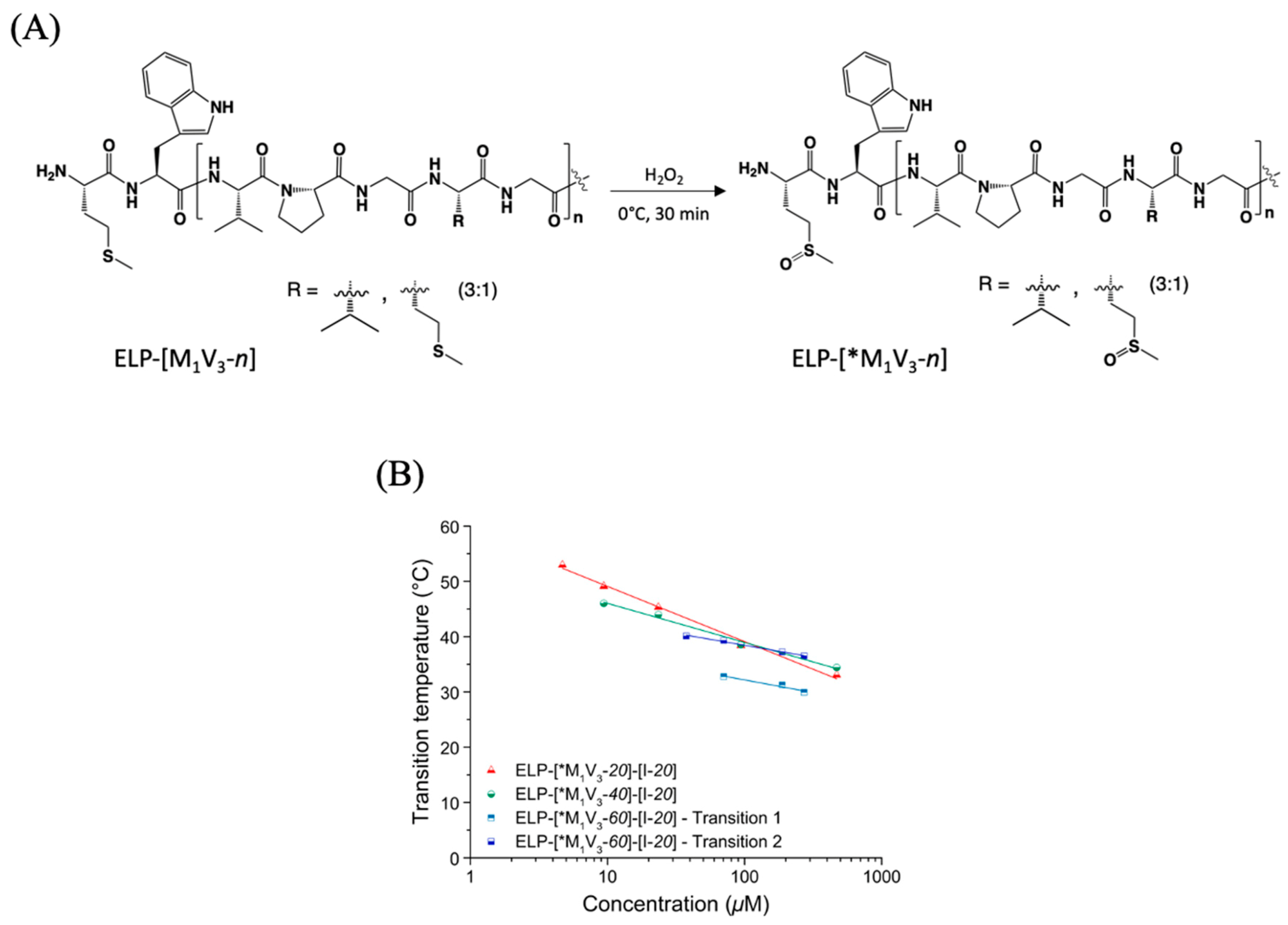 Polymers 13 01470 g004 Polymers 13 01470 g004