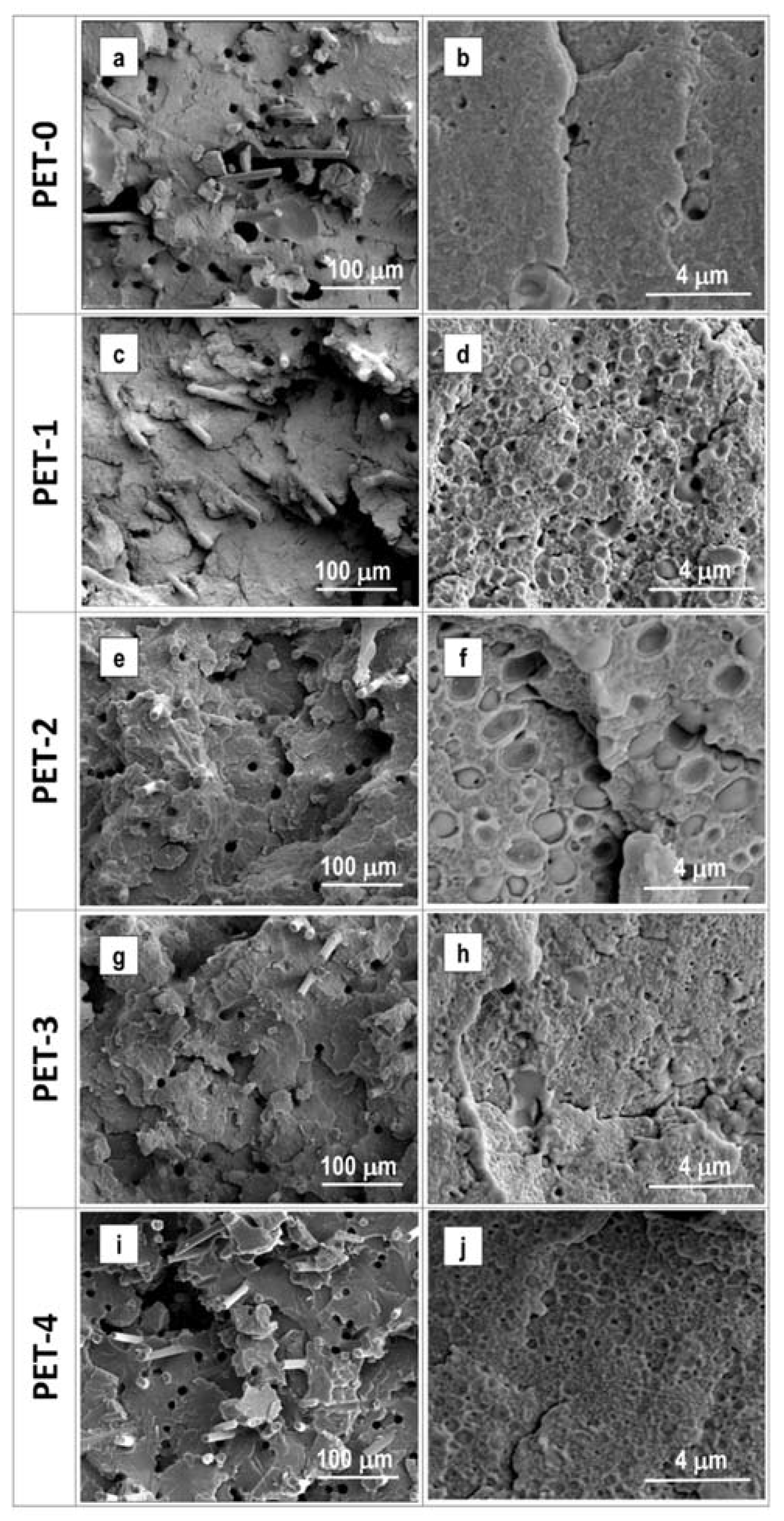 Polymers 13 01471 g003 550