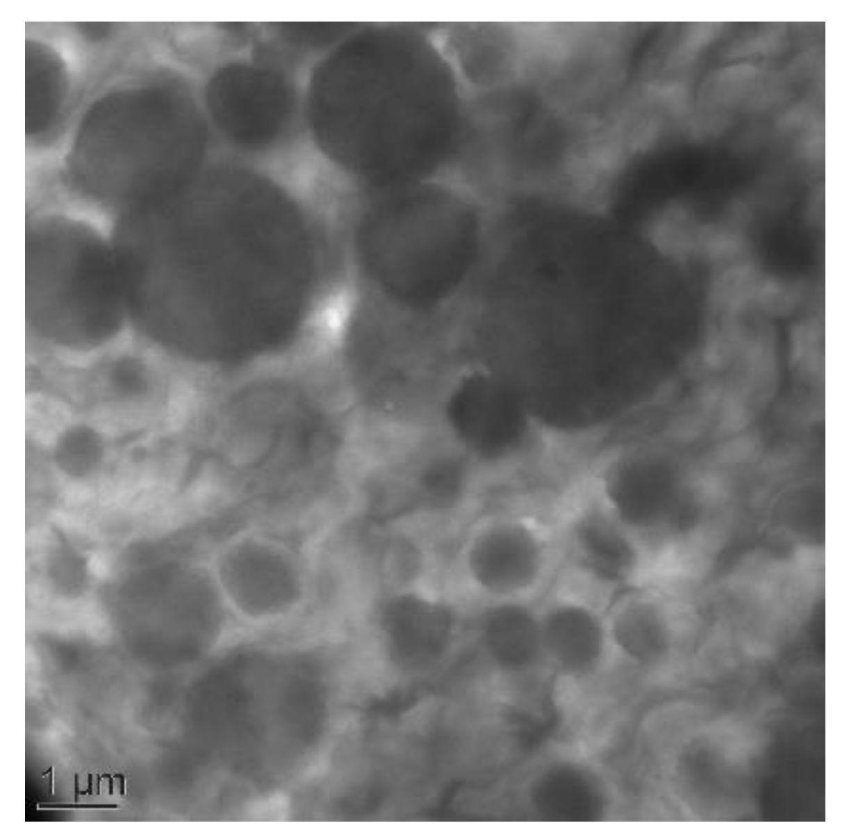 Polymers 13 01477 g002 Polymers 13 01477 g002