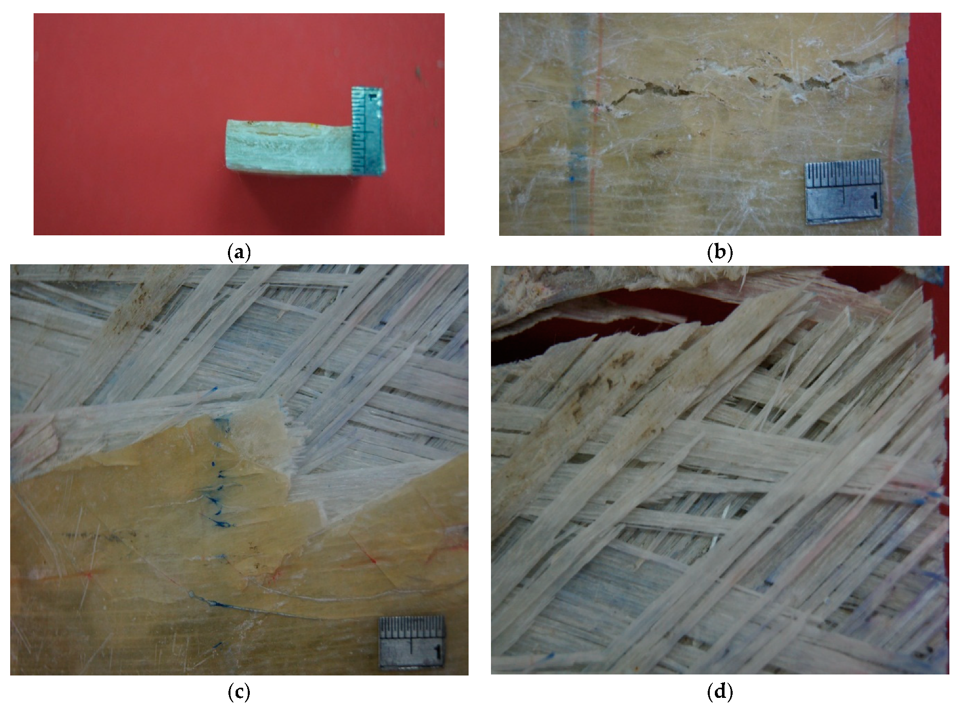 Polymers 13 01478 g003 Polymers 13 01478 g003