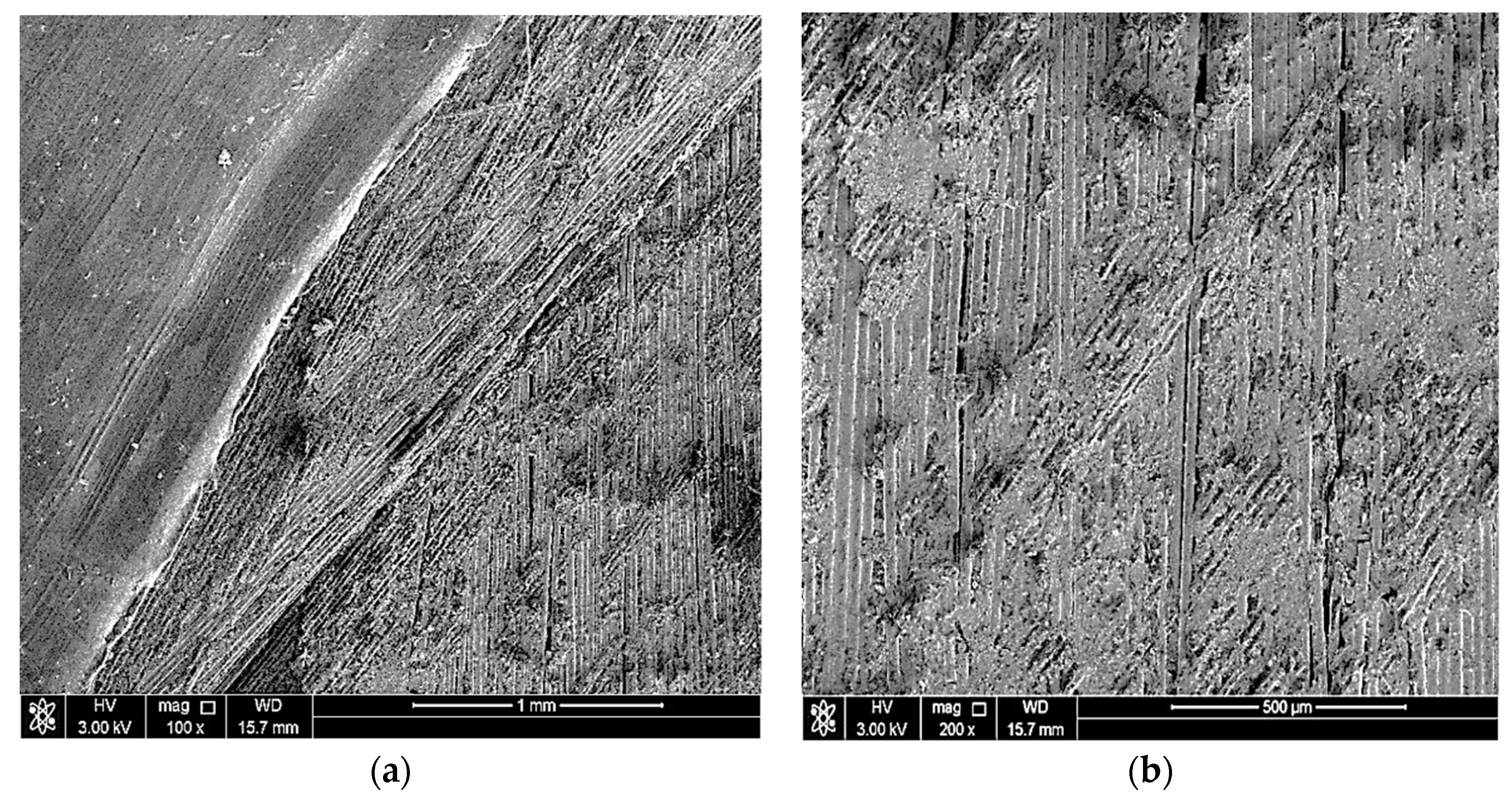 Polymers 13 01478 g004 Polymers 13 01478 g004