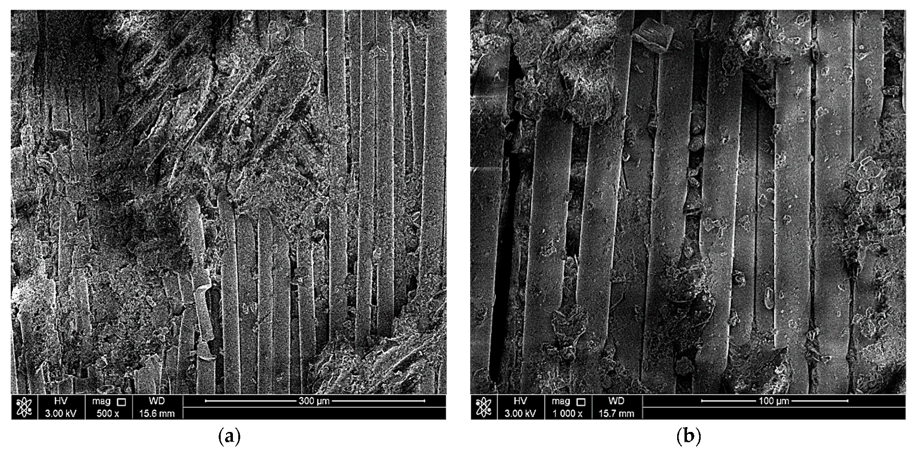 Polymers 13 01478 g005 Polymers 13 01478 g005