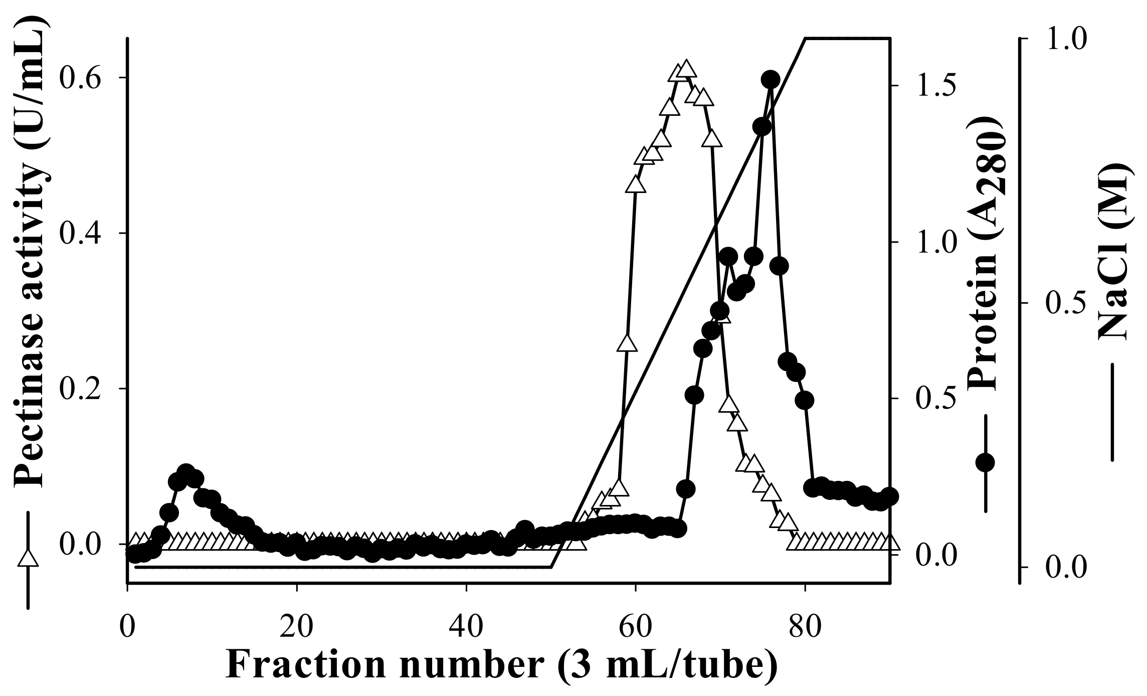 Polymers 13 01483 g002