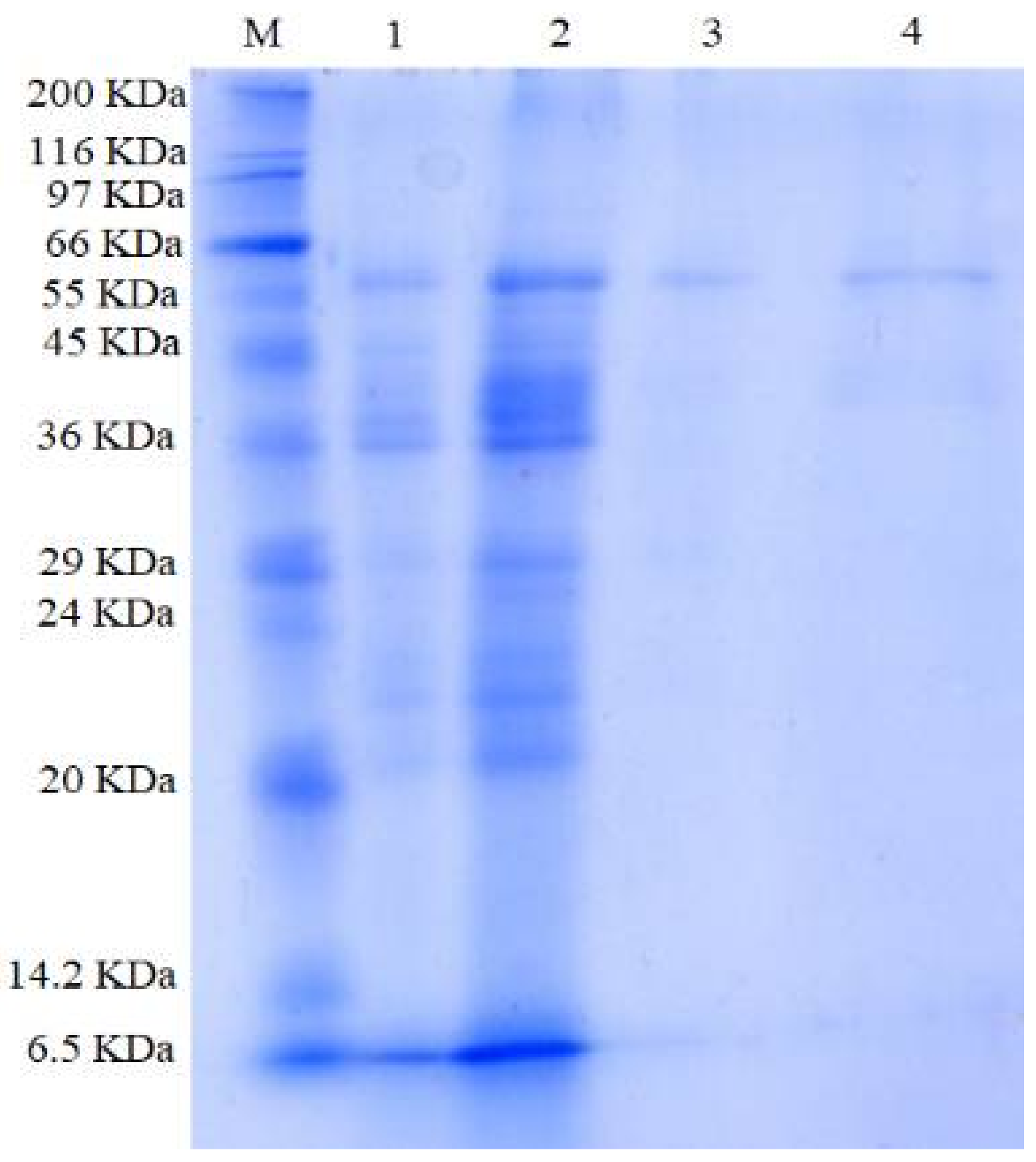 Polymers 13 01483 g003