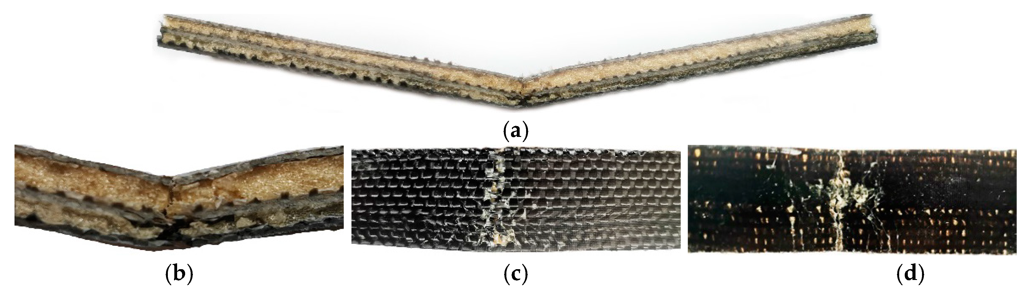 Polymers 13 01485 g010