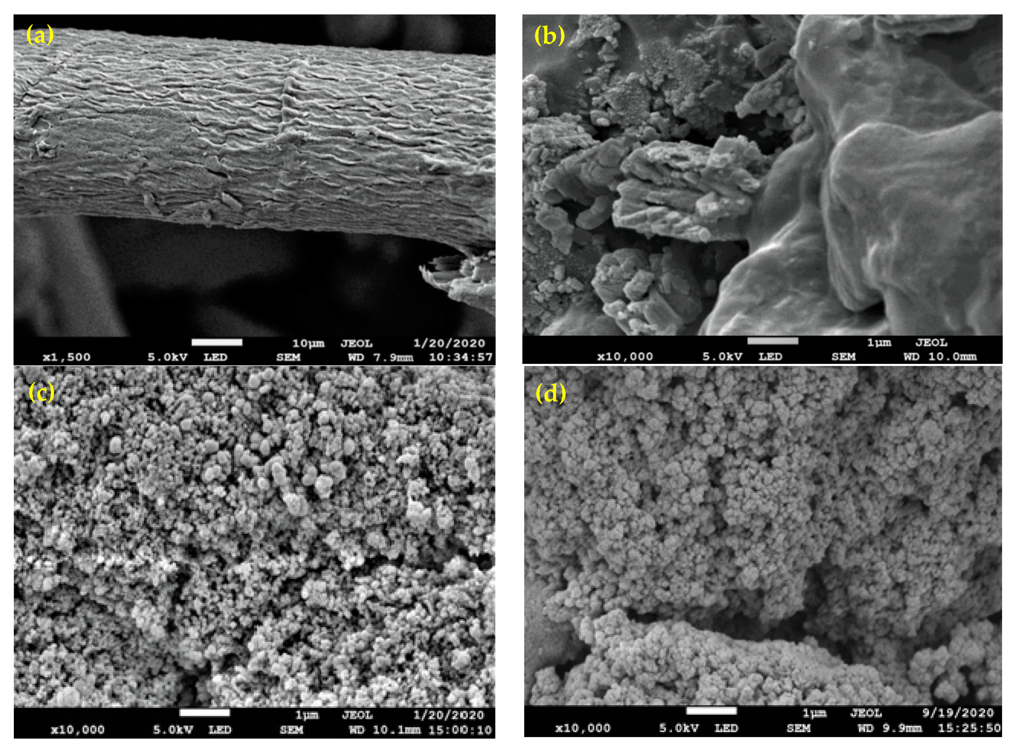 Polymers 13 01486 g003 Polymers 13 01486 g003