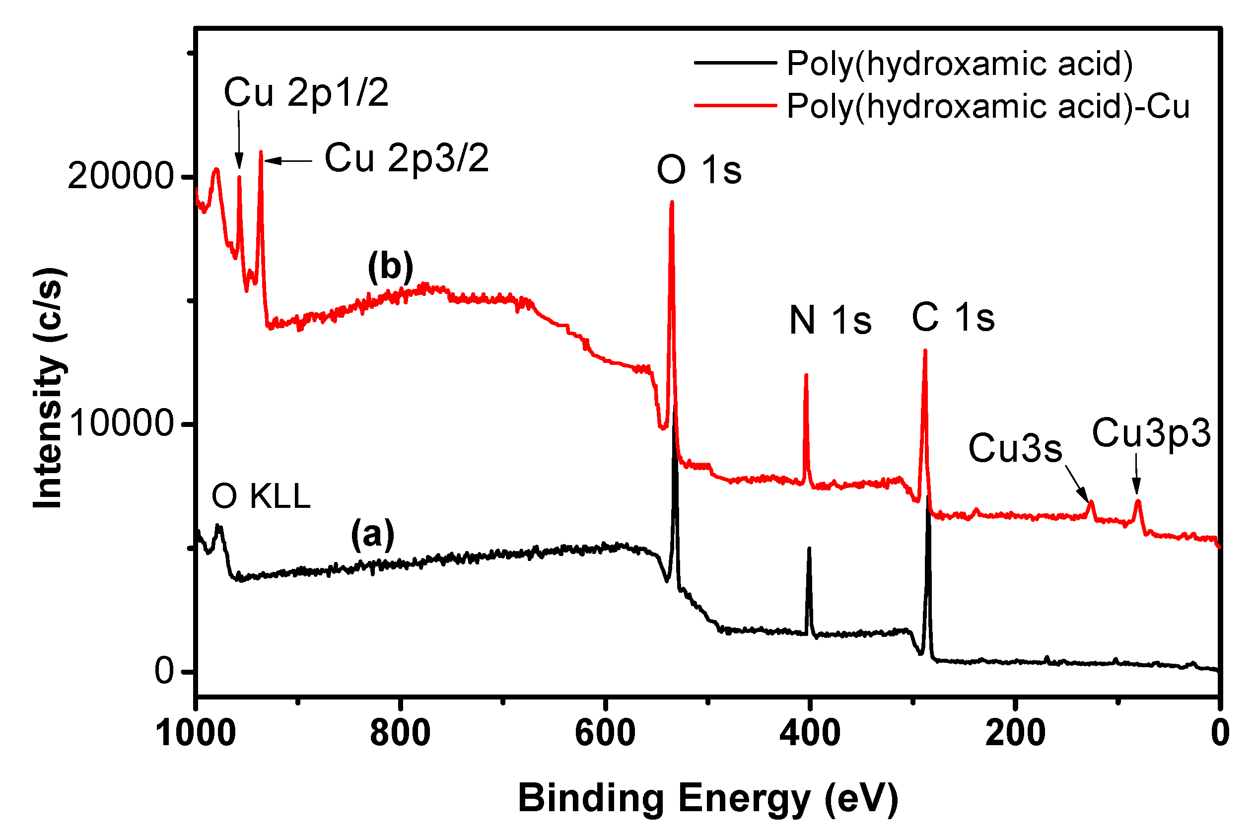 Polymers 13 01486 g005 Polymers 13 01486 g005