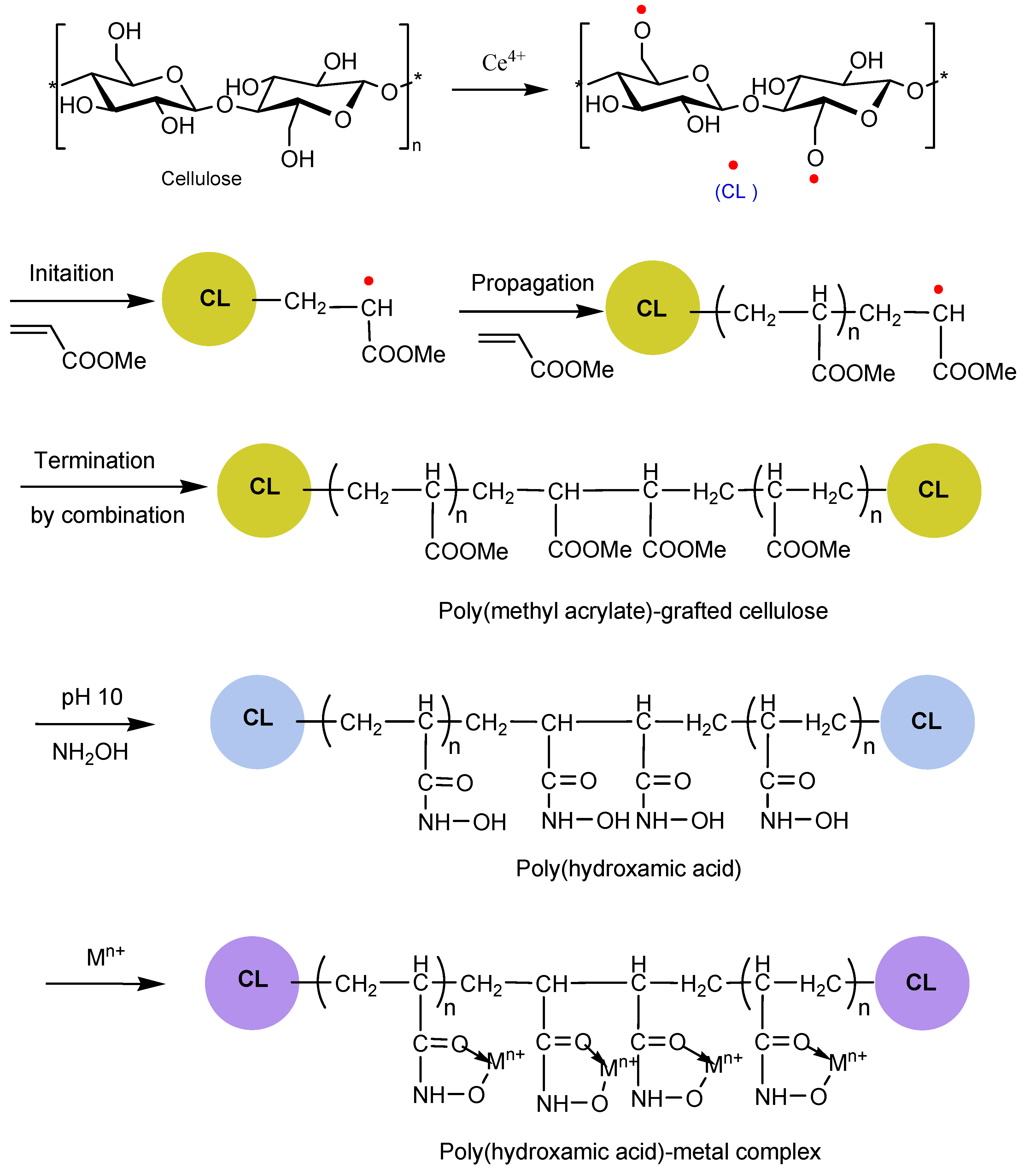 Polymers 13 01486 sch001 Polymers 13 01486 sch001