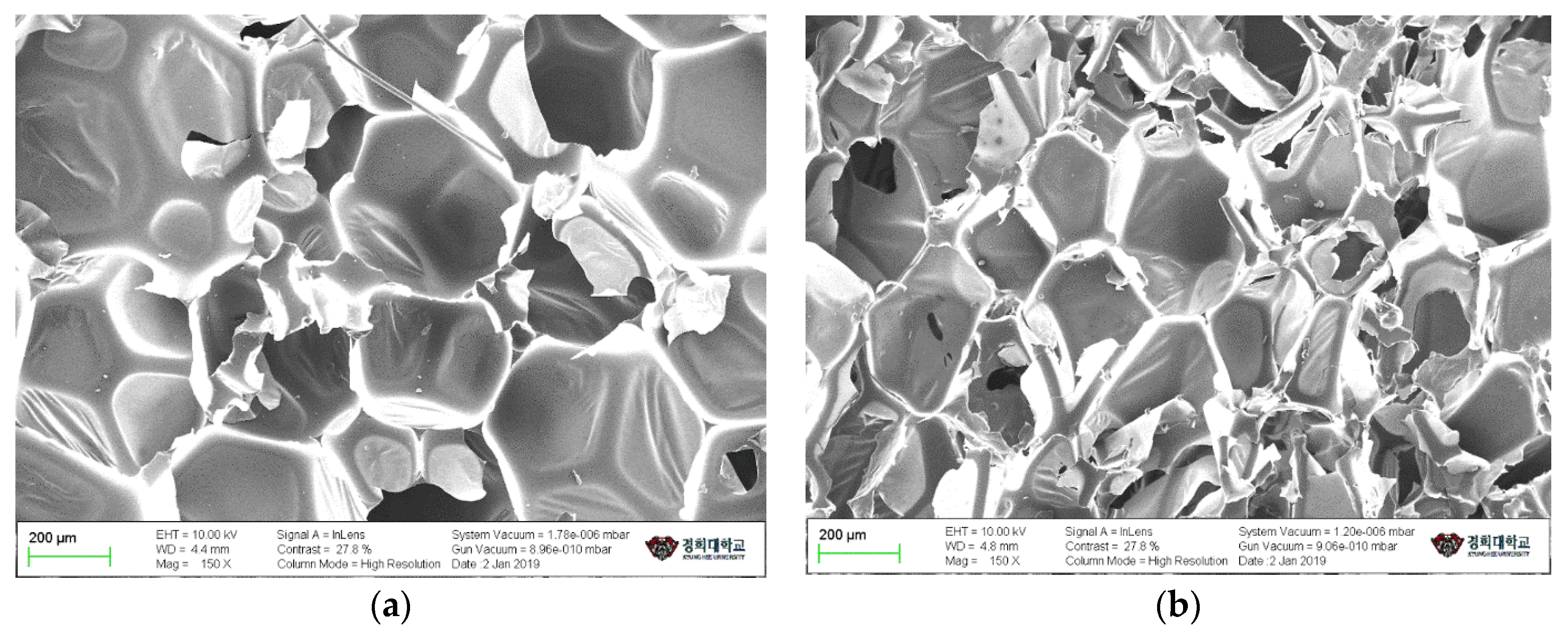 Polymers 13 01491 g012 Polymers 13 01491 g012