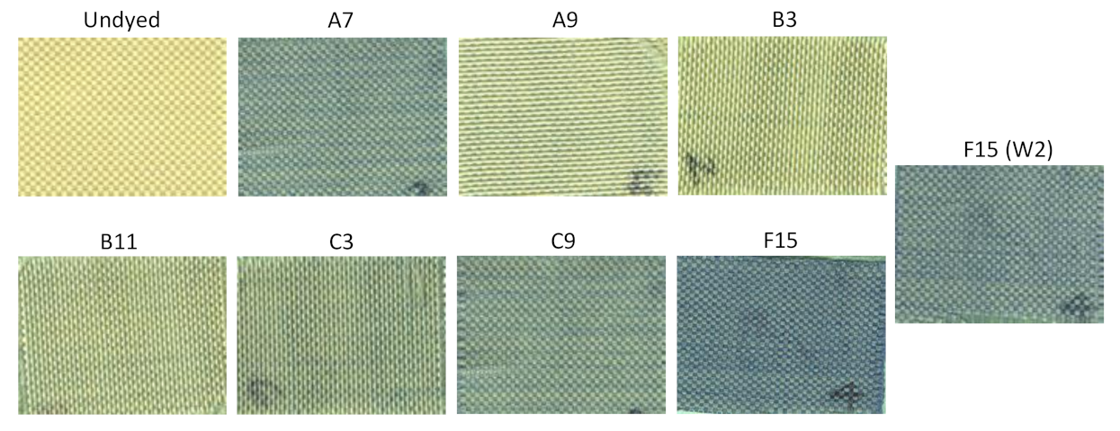 Polymers 13 01492 g008 Polymers 13 01492 g008