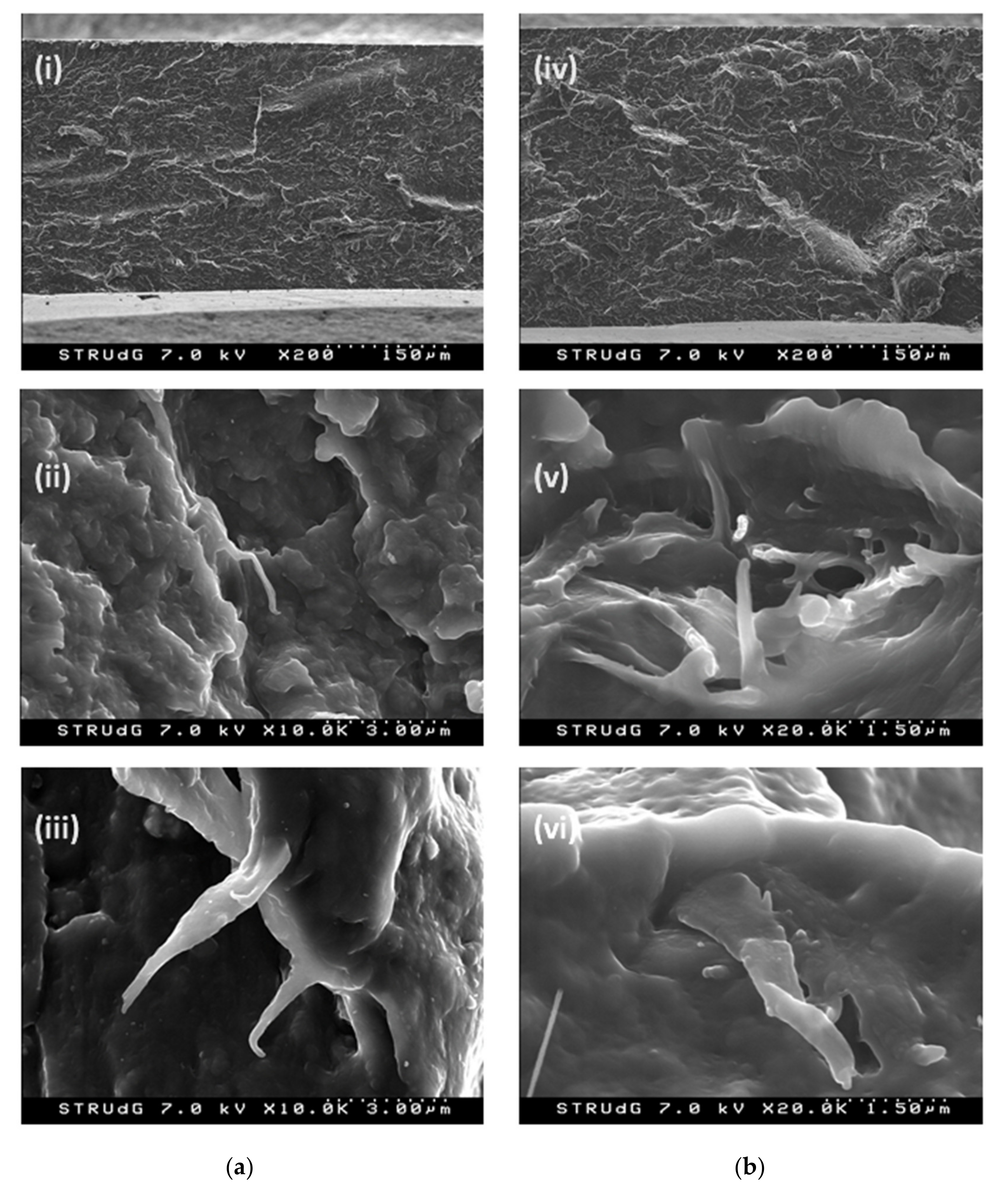 Polymers 13 01495 g008