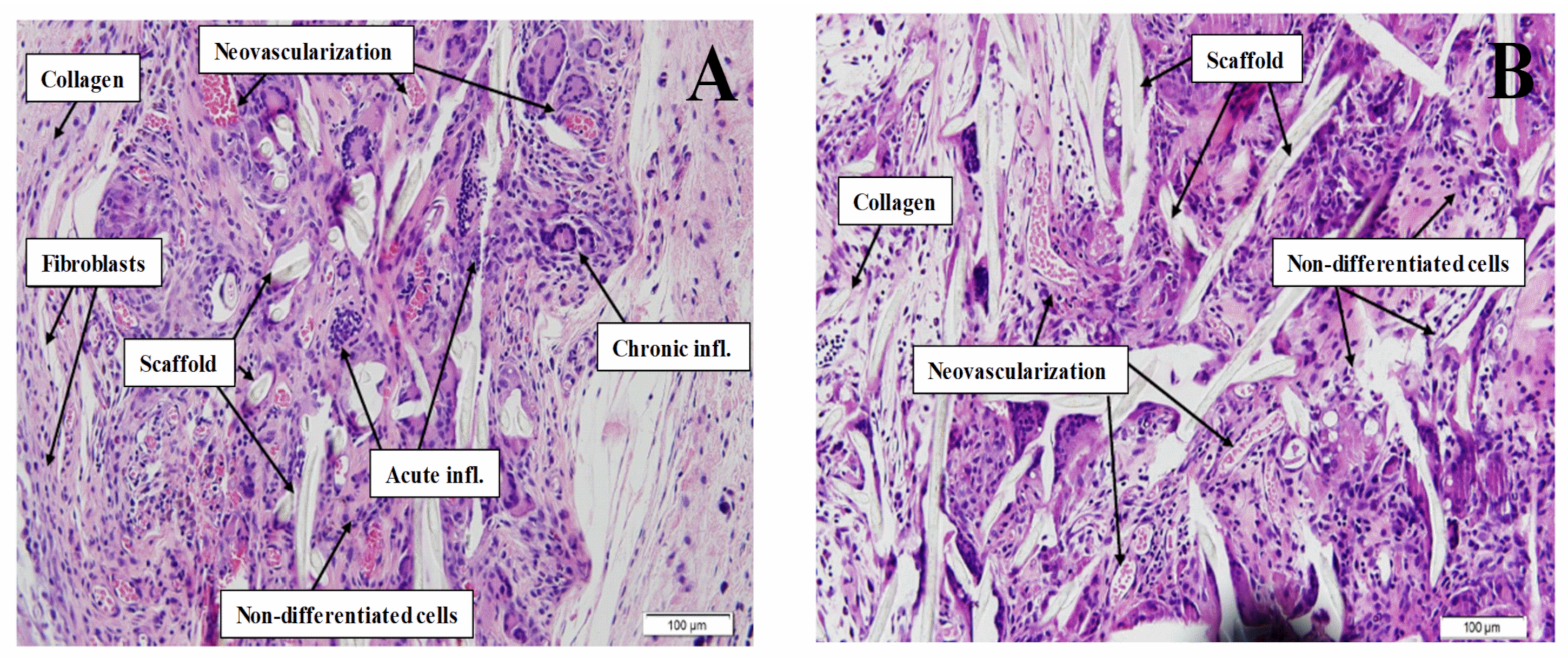Polymers 13 01501 g004 Polymers 13 01501 g004