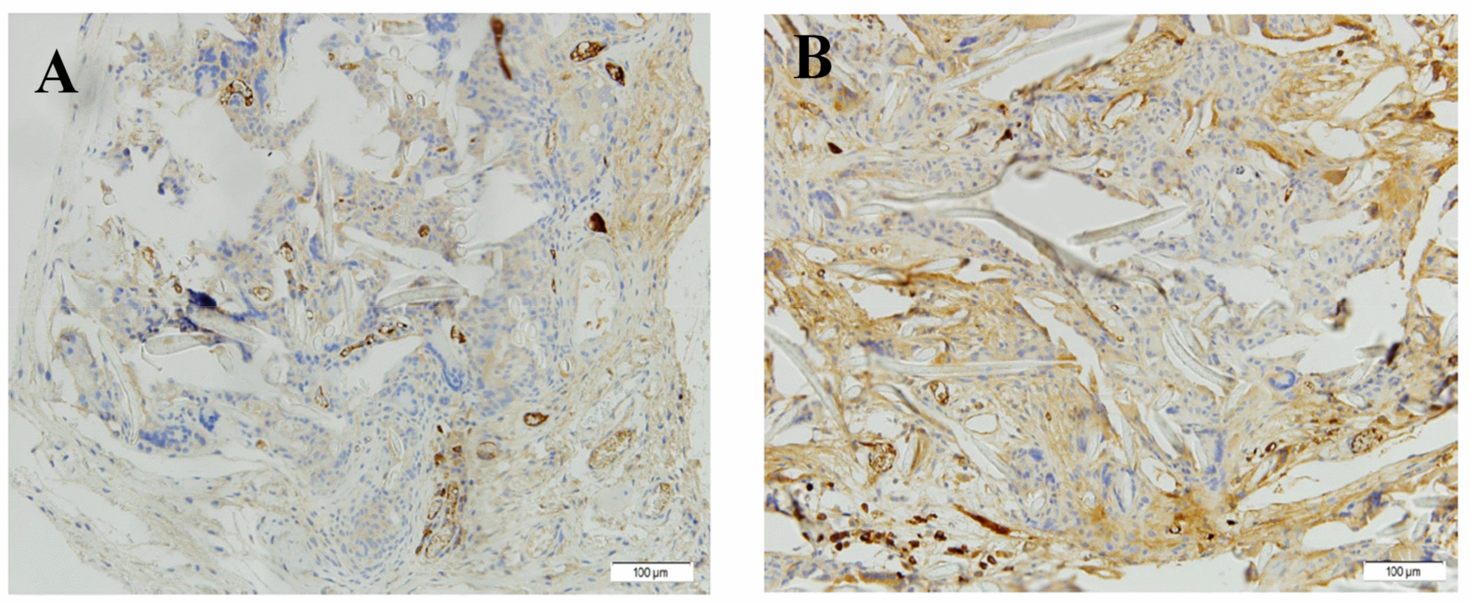 Polymers 13 01501 g005 Polymers 13 01501 g005